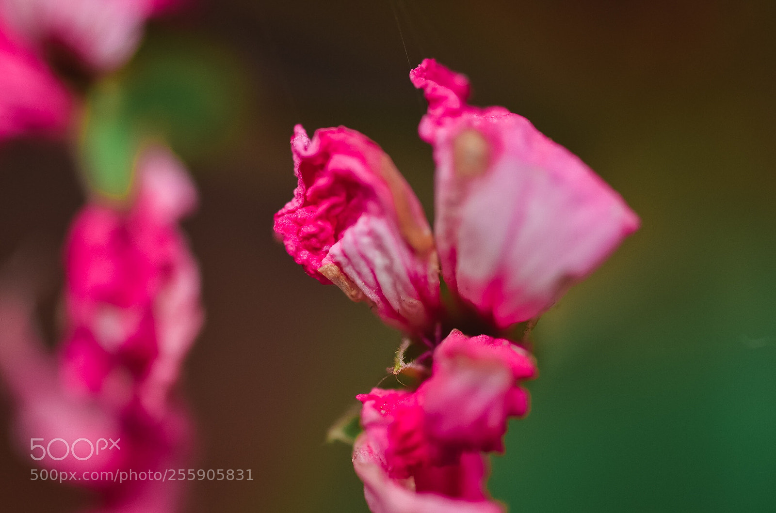 Nikon D7000 sample photo. Time goes by... photography