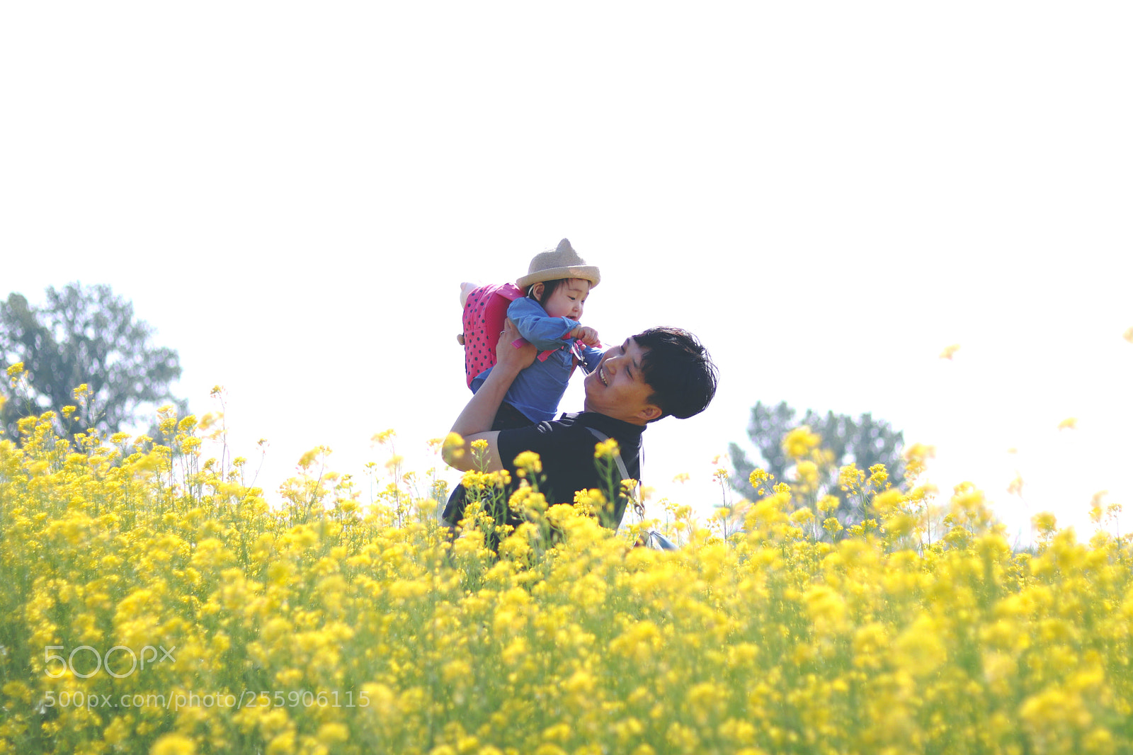 Canon EOS 800D (EOS Rebel T7i / EOS Kiss X9i) sample photo. Anseong farm land photography