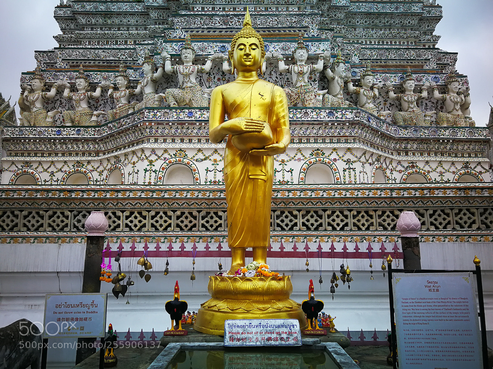 HUAWEI Mate 9 sample photo. Untitled photography