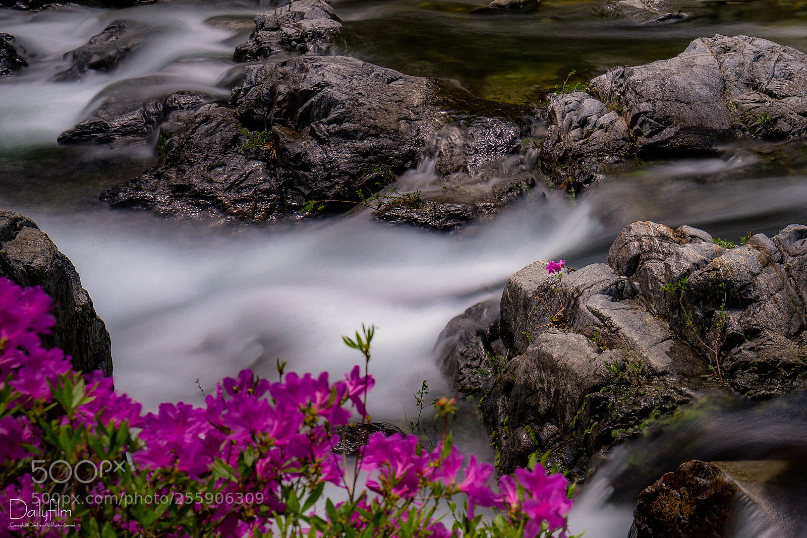 Canon EOS 6D Mark II sample photo. Here alone  photography