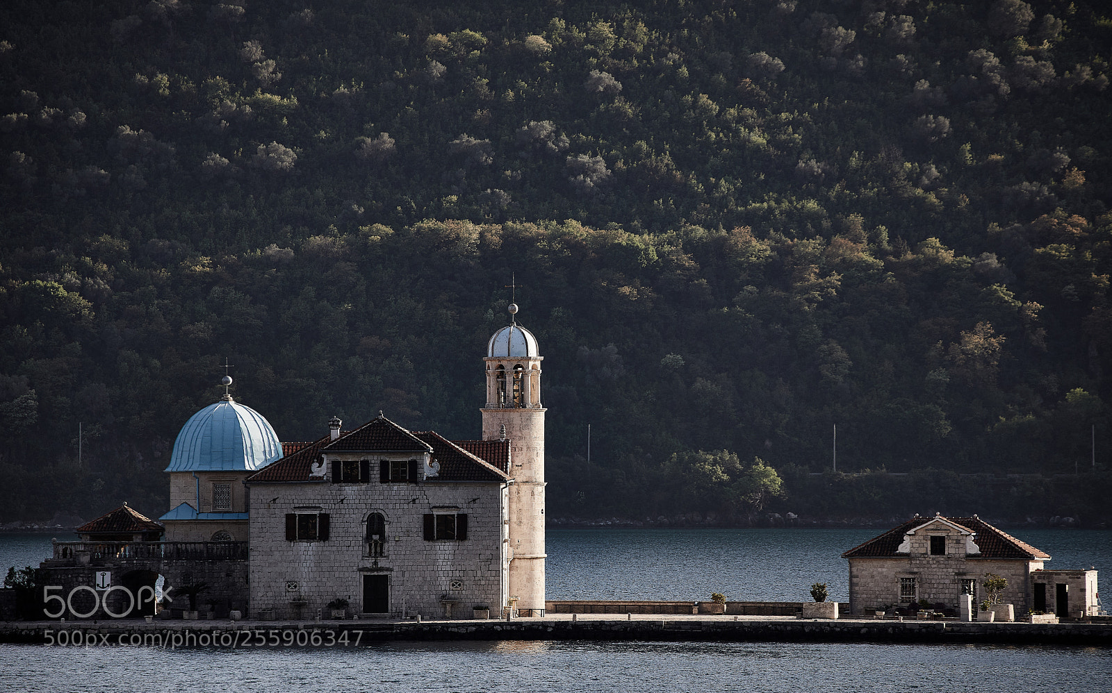 Canon EOS 5D Mark IV sample photo. Our lady of the photography