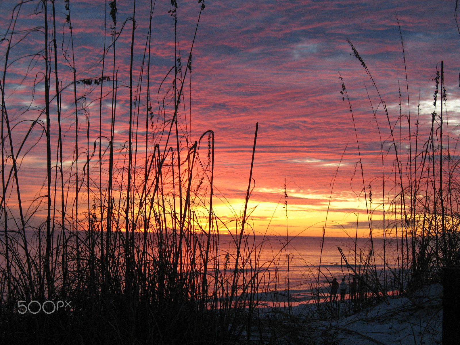 Canon POWERSHOT A620 sample photo. Fort walton beach - through the reeds photography