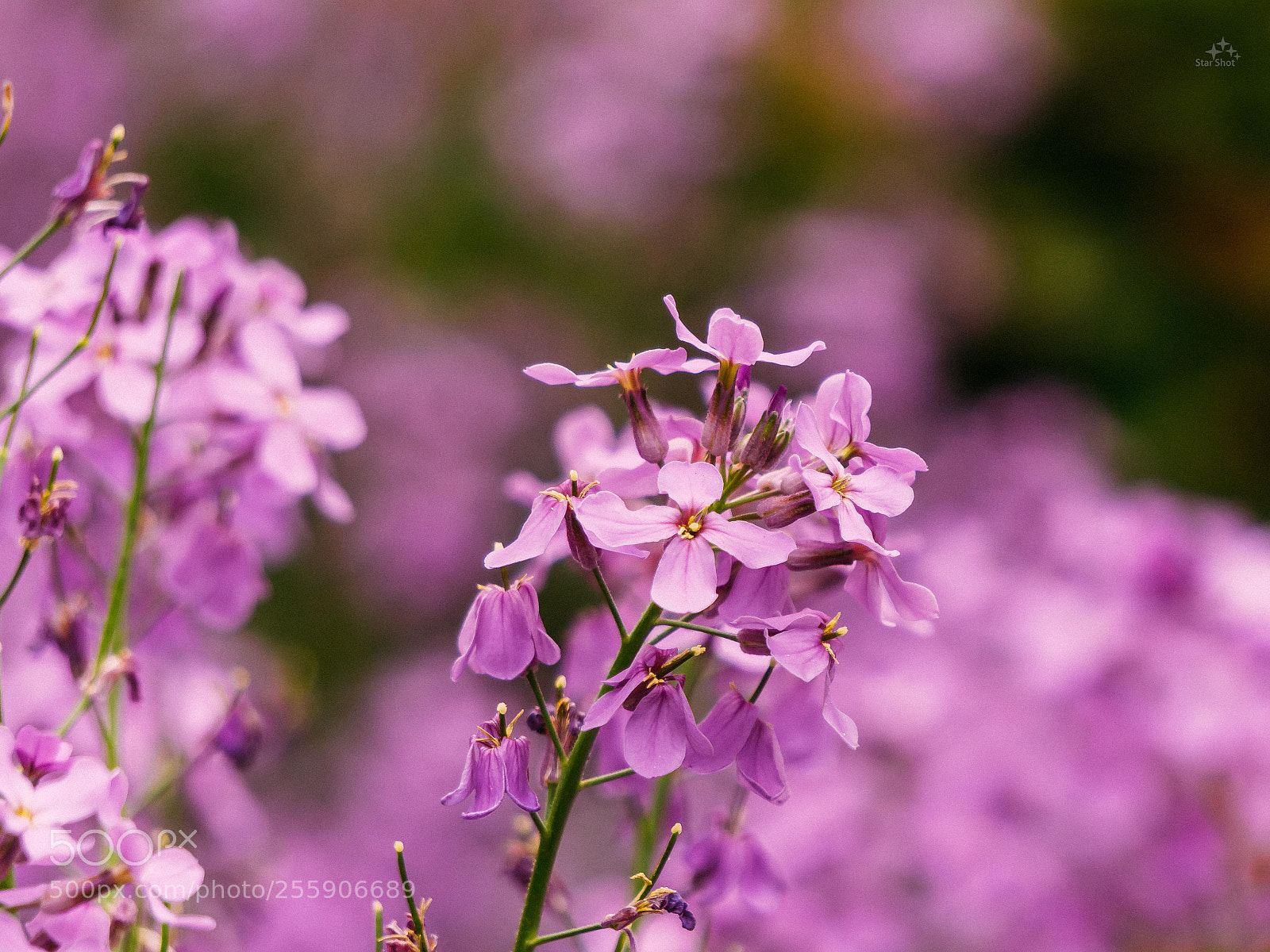 Sony a6000 sample photo. Untitled photography