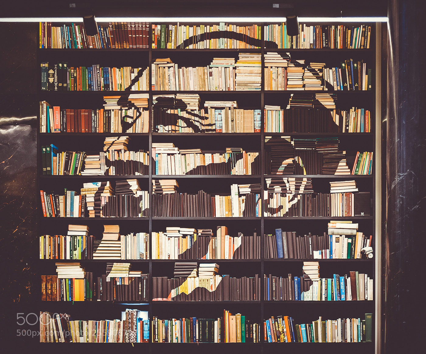 Sony Alpha NEX-5N sample photo. Book art photography