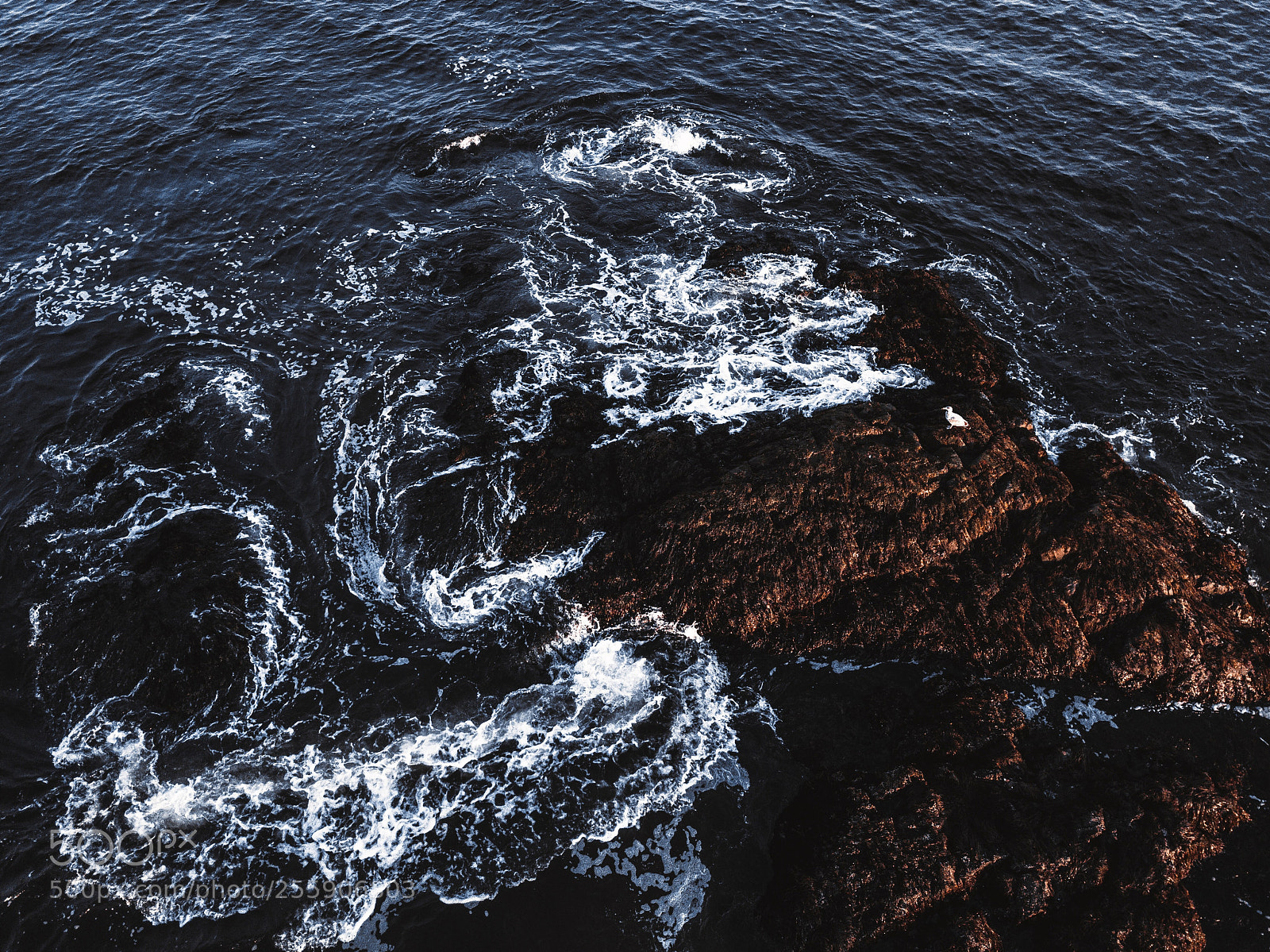 DJI FC220 sample photo. Lost at sea photography
