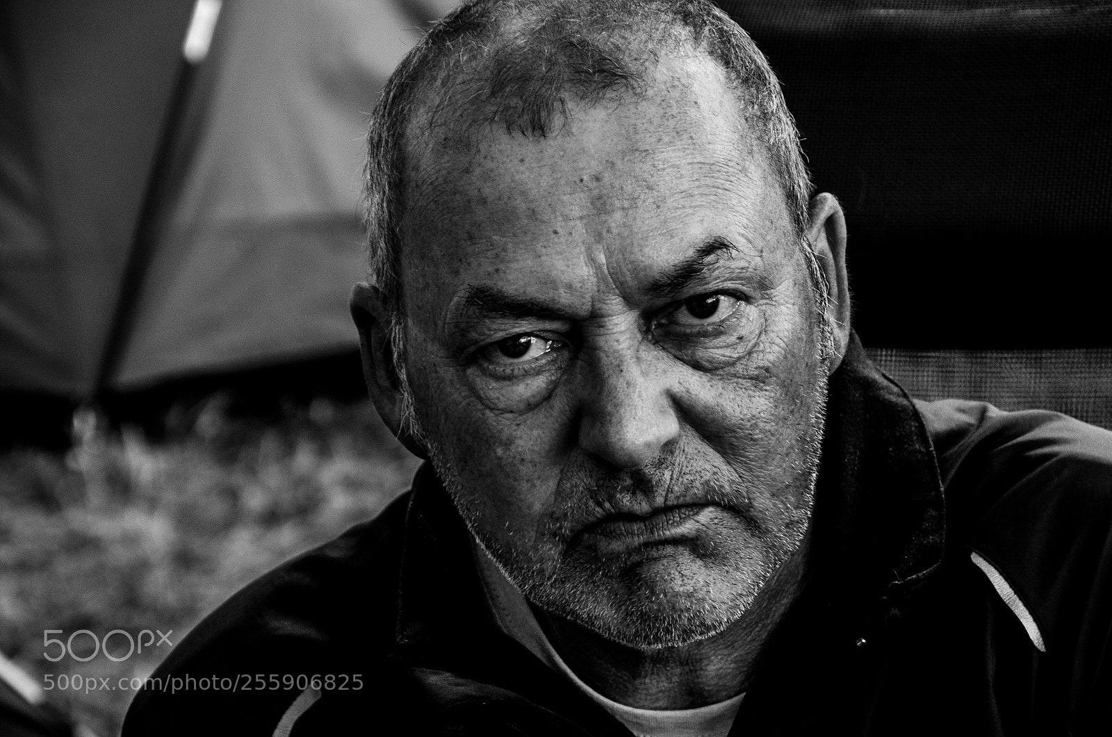 Nikon D7000 sample photo. Untitled photography