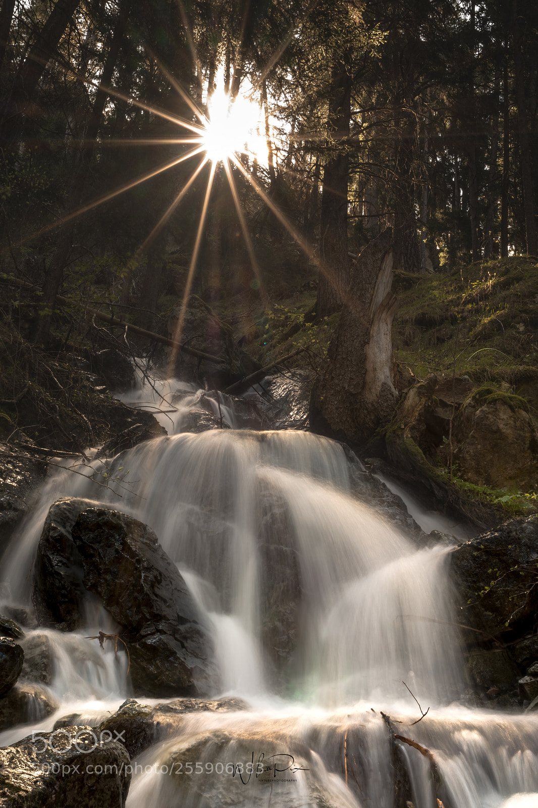 Nikon D500 sample photo. Falling water photography