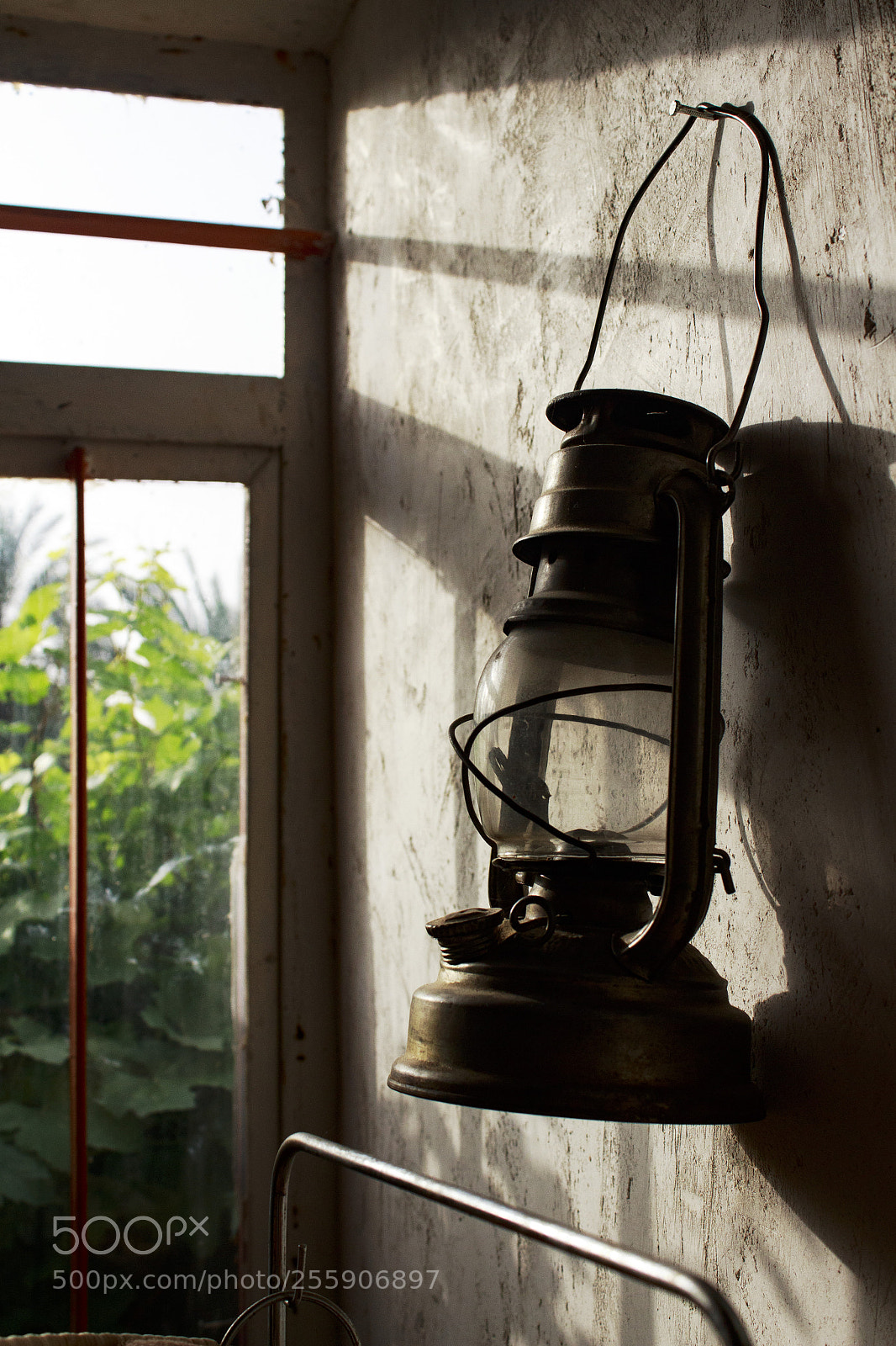 Canon EOS 650D (EOS Rebel T4i / EOS Kiss X6i) sample photo. Mg photography