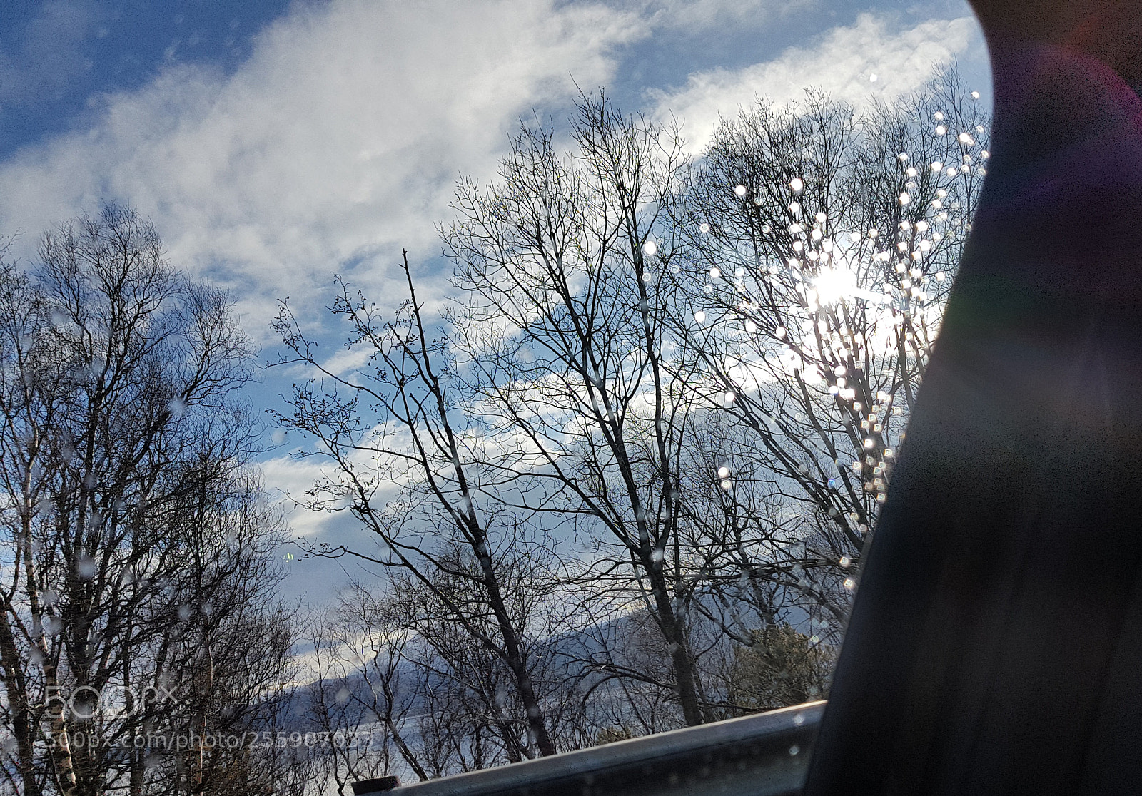 Samsung Galaxy S8 sample photo. Through the rain drops 1 photography