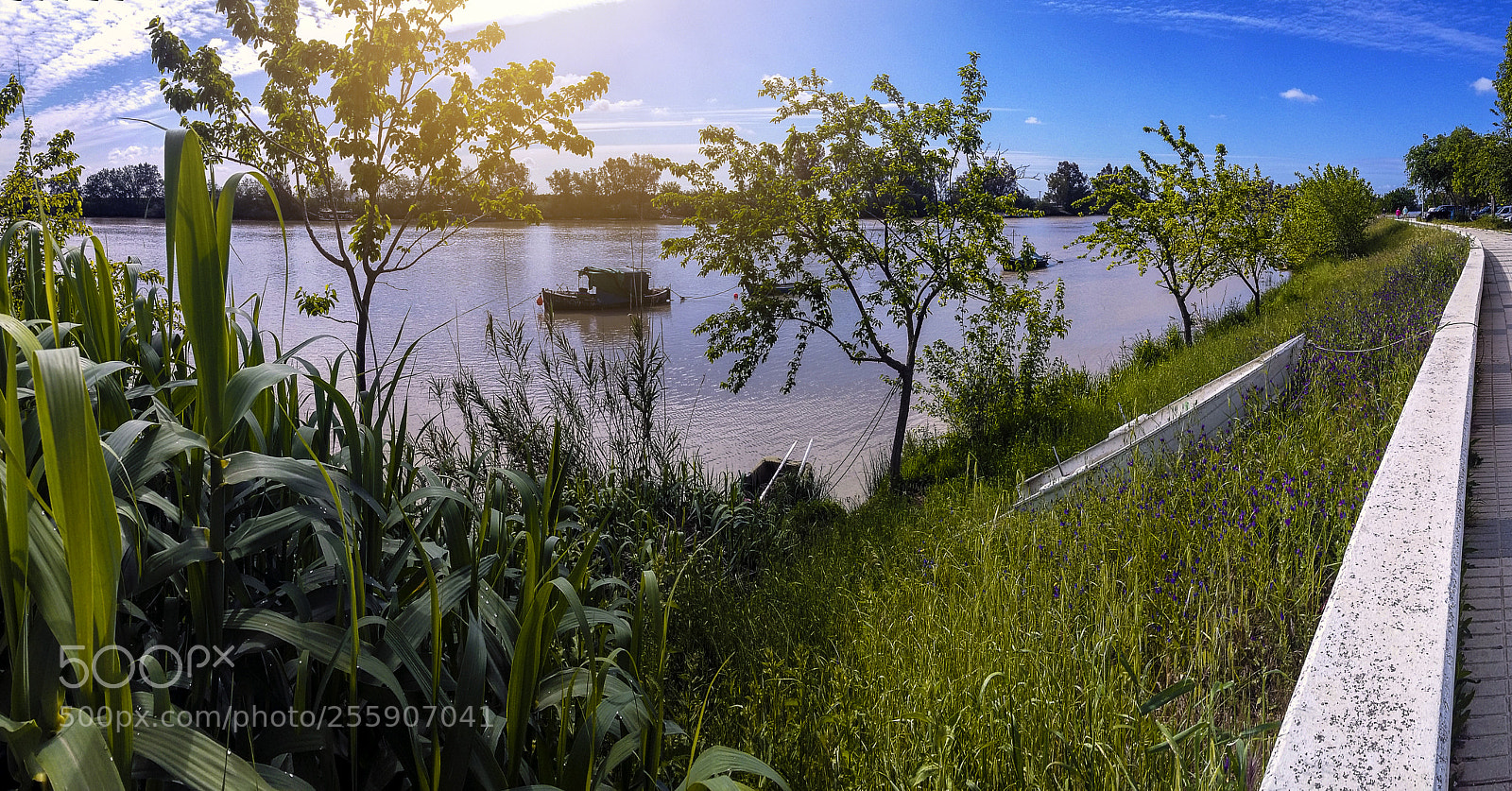 Samsung Galaxy Grand Prime sample photo. Guadalquivir photography
