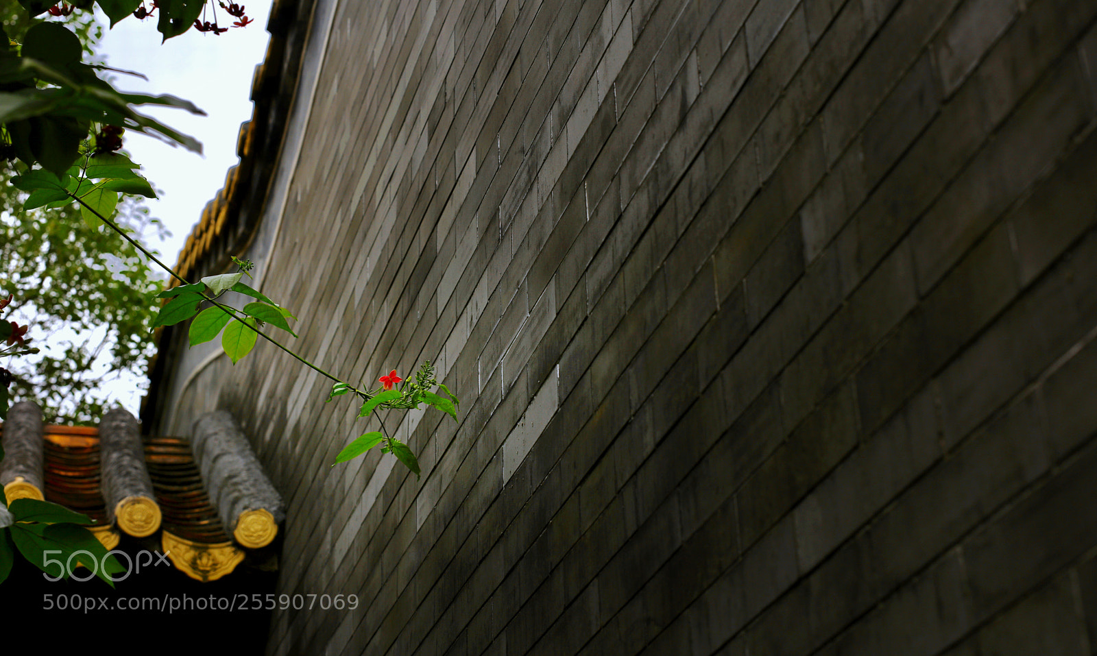 Canon EOS 5DS R sample photo. Touched photography