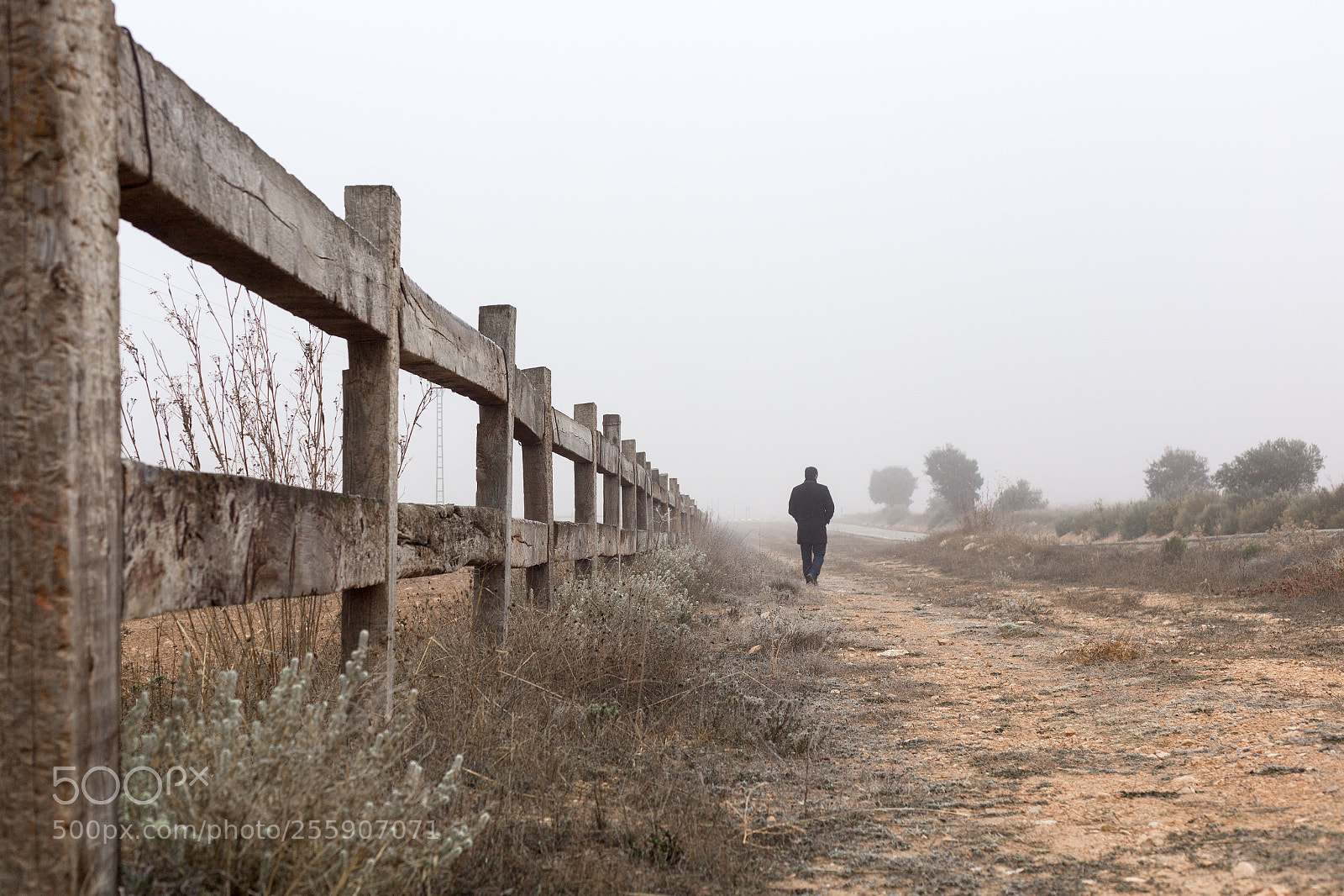 Canon EOS 6D sample photo. Walking photography