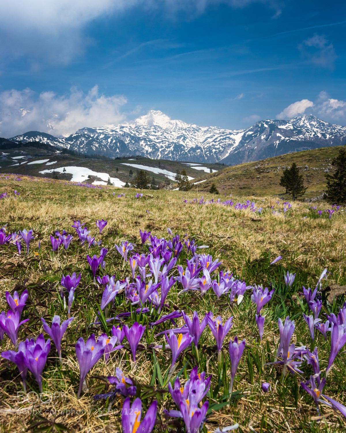Canon EOS 80D sample photo. Mountains and crocus on photography