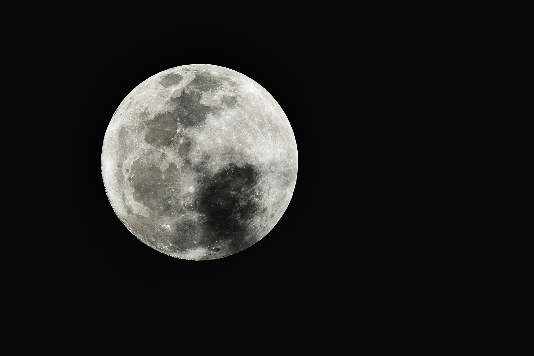 Nikon D800E sample photo. Shade photography