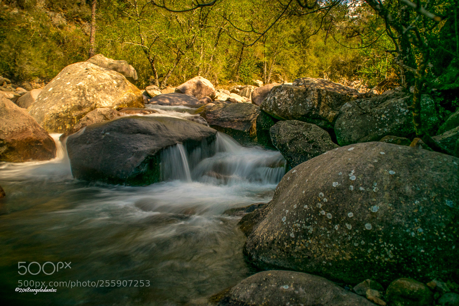 Nikon D5300 sample photo. Torrent... photography