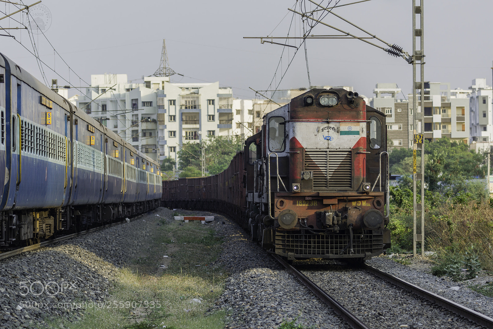 Canon EOS 5D Mark IV sample photo. Et alco twins with photography