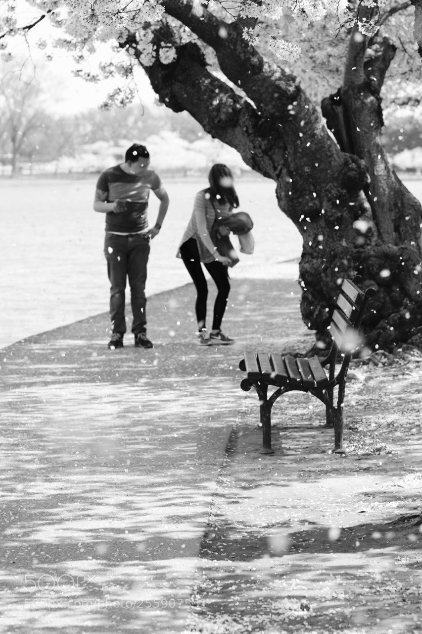 Canon EOS 750D (EOS Rebel T6i / EOS Kiss X8i) sample photo. April blizzard photography