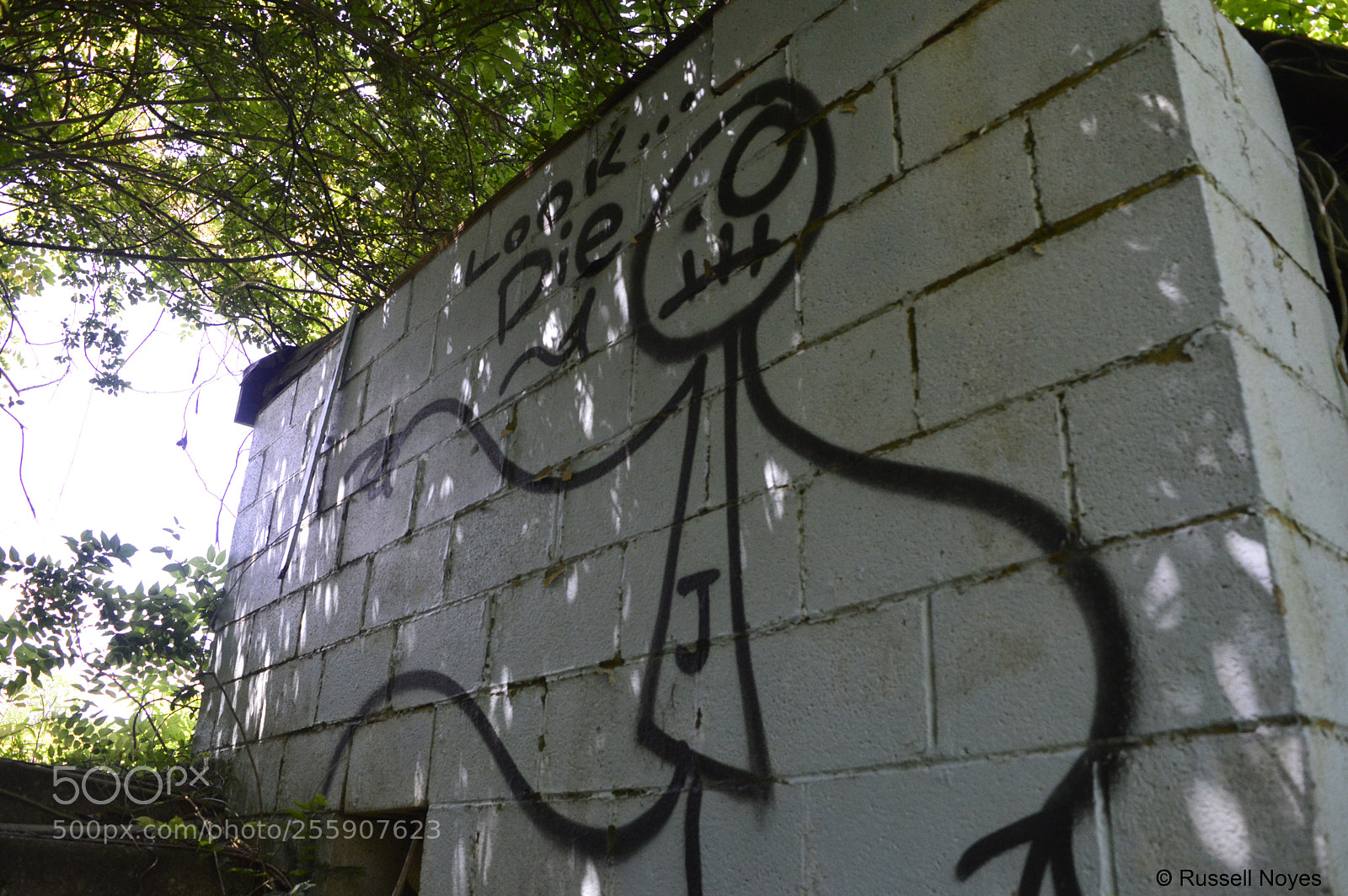 Nikon D3200 sample photo. Look...die photography