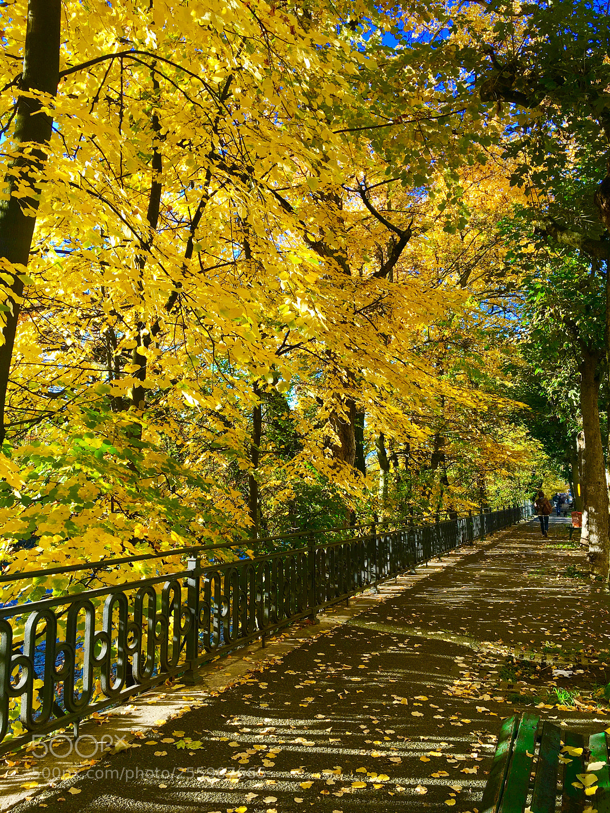 Apple iPhone 6s sample photo. Autumn walks photography