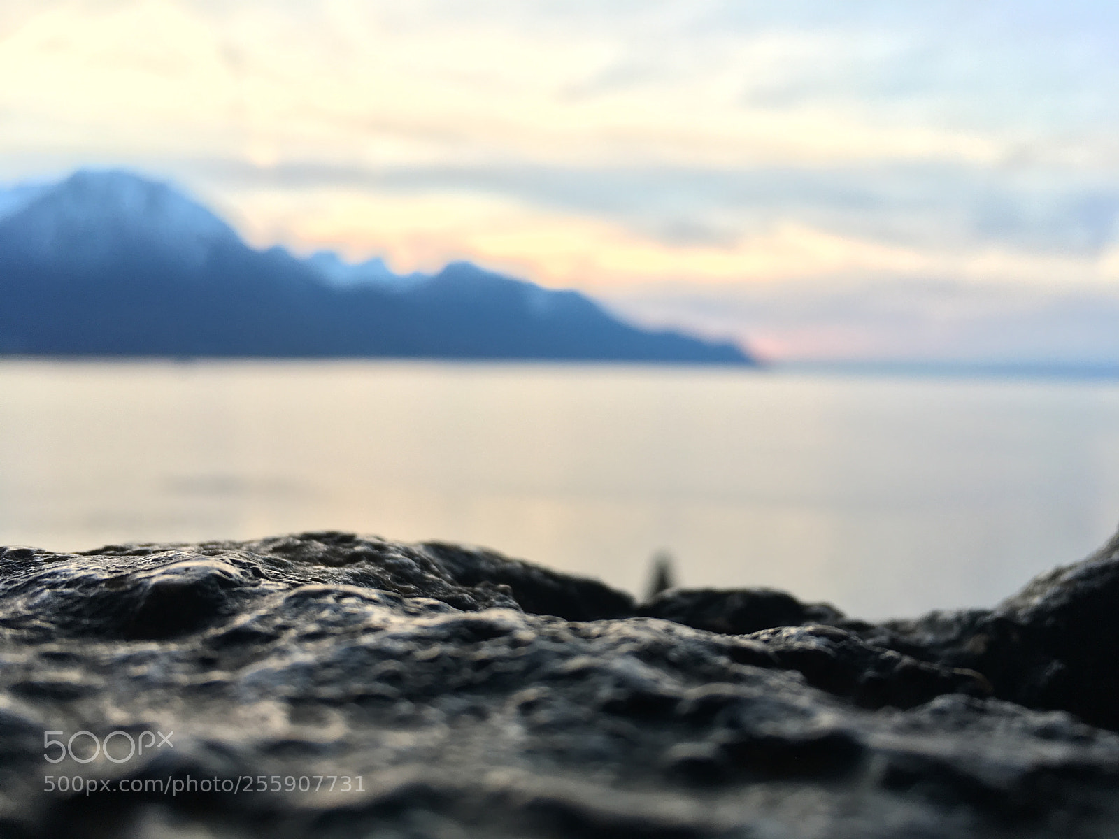 Apple iPhone 6s sample photo. Castle views photography