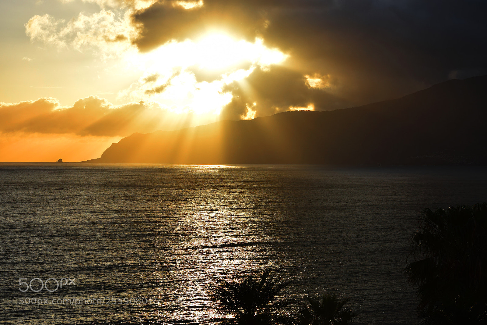Nikon D5300 sample photo. Coast madeira photography