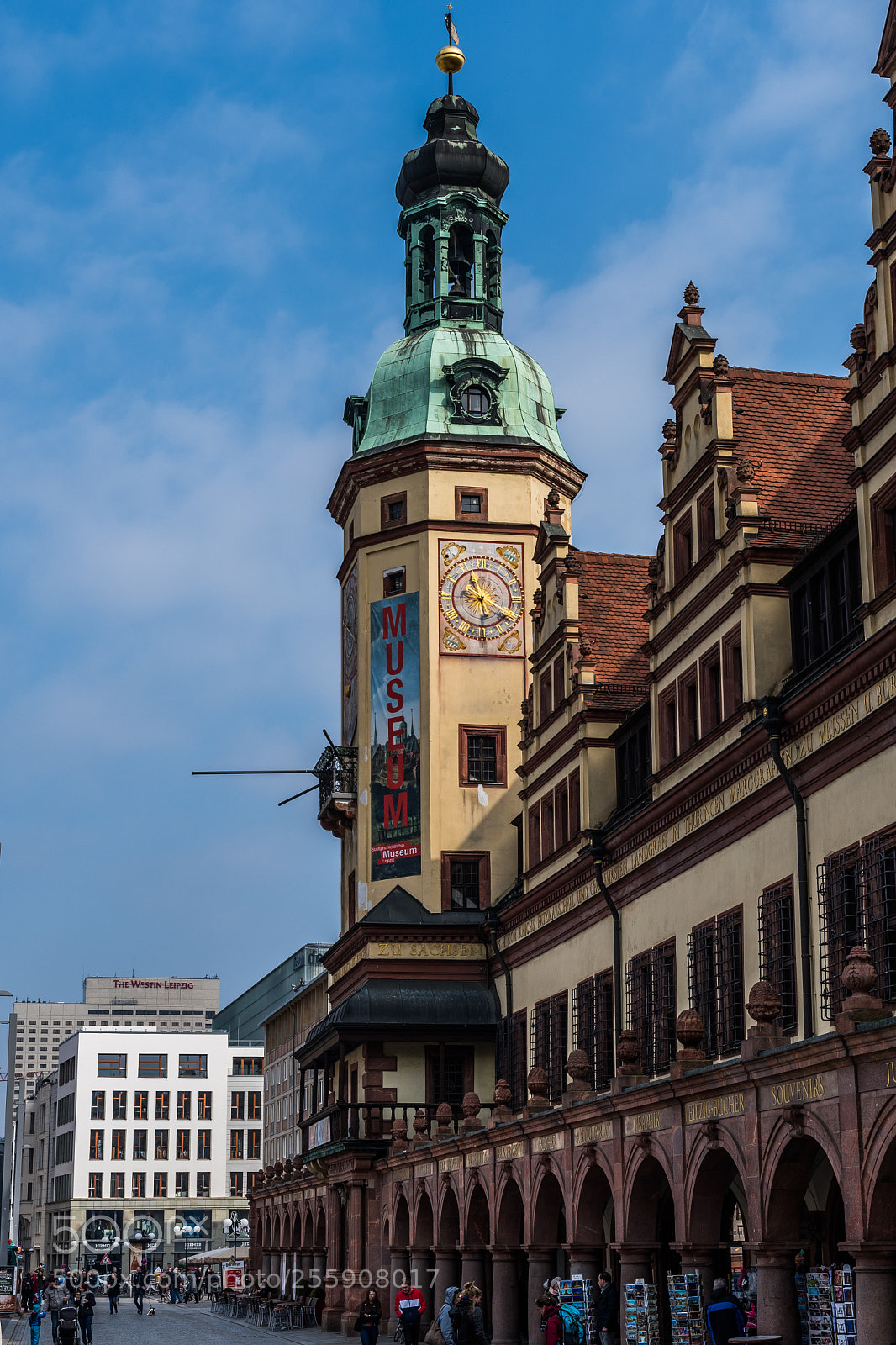 Nikon D500 sample photo. Old leipzig townhall photography