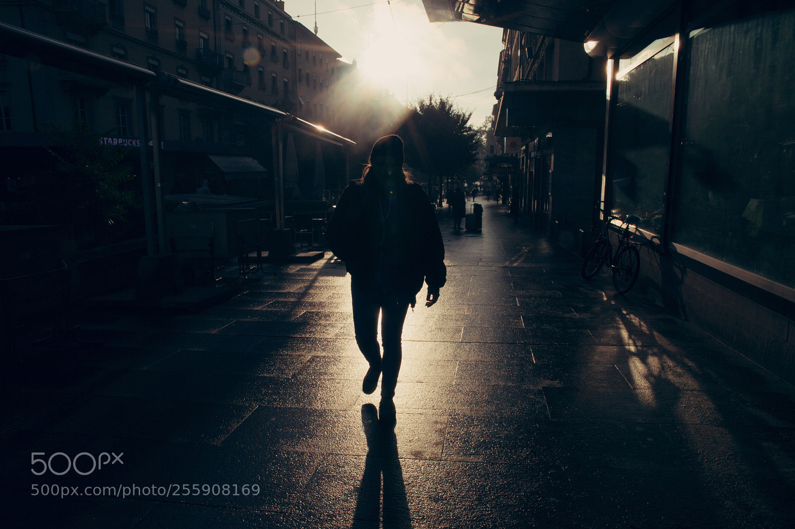 Canon EOS 5D Mark II sample photo. Walk in geneva photography