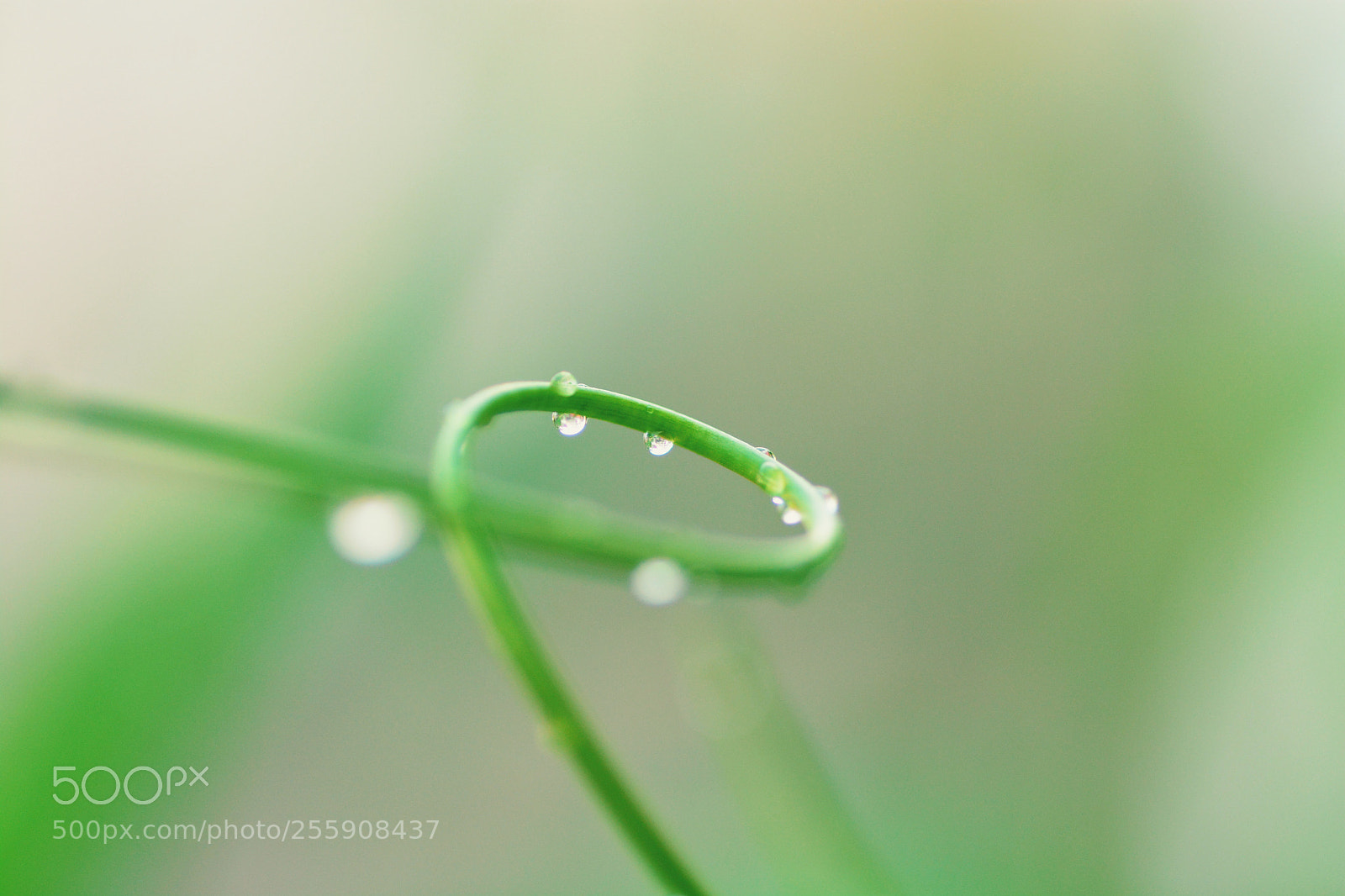 Nikon D7100 sample photo. Untitled photography
