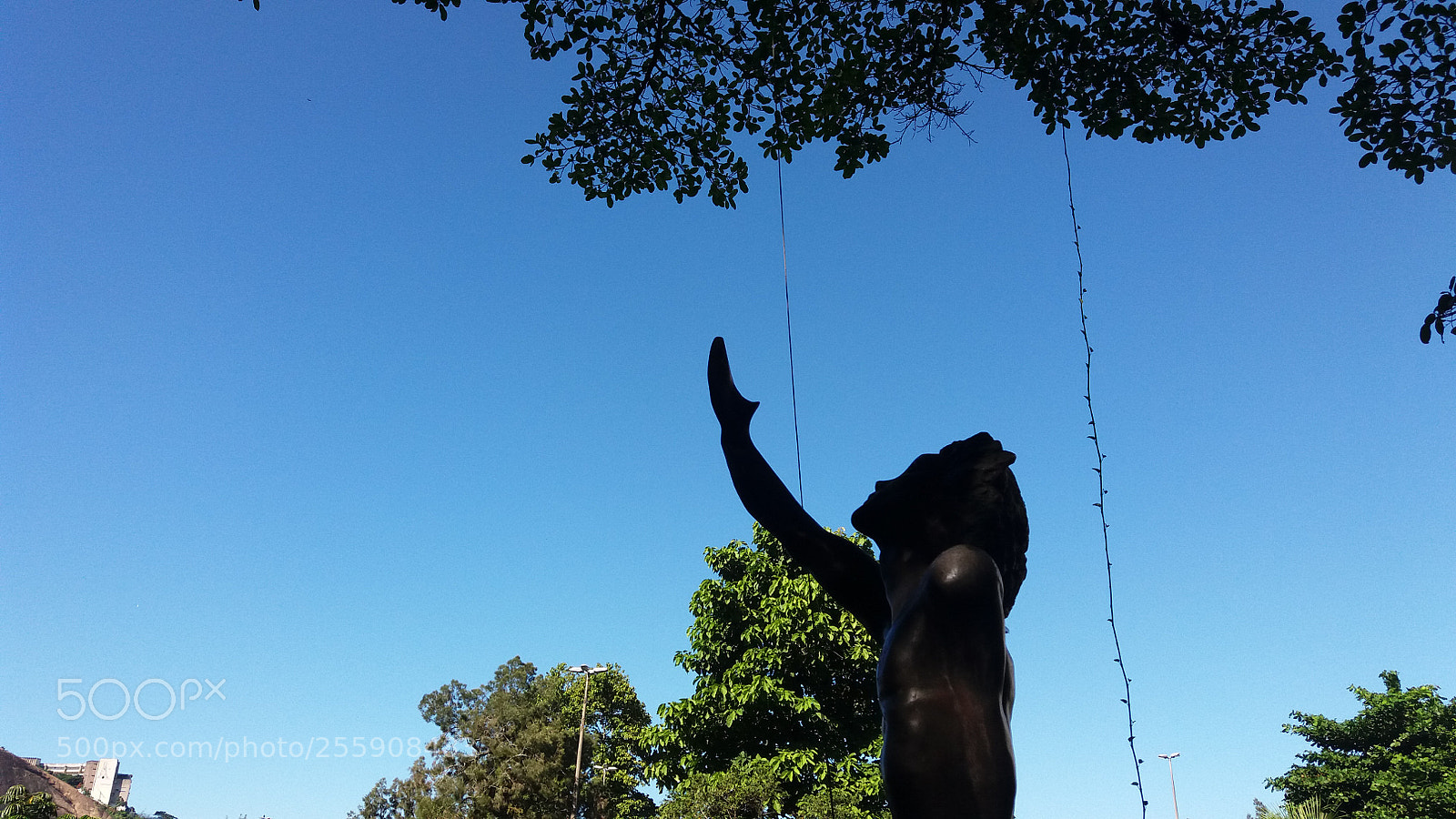 Samsung Galaxy J5 sample photo. Catacumba park photography