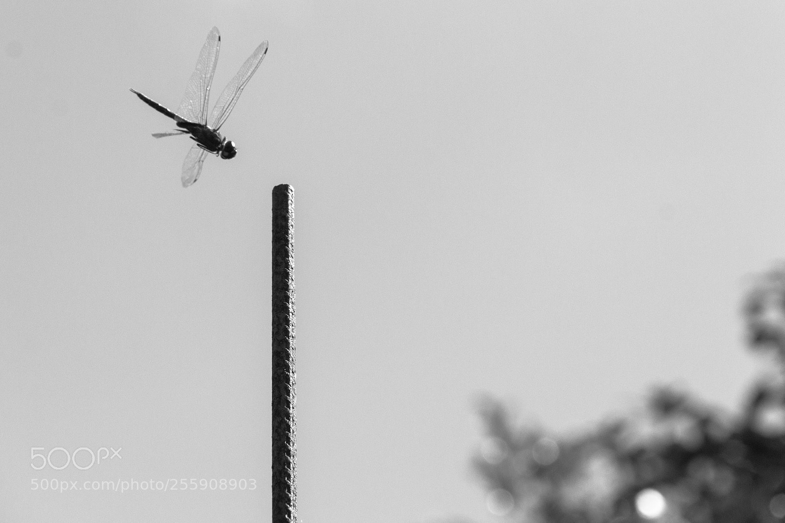 Canon EOS 60D sample photo. Natureza e a humanidade photography