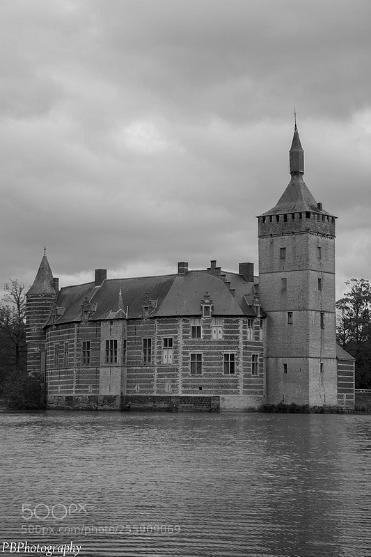 Nikon D7100 sample photo. Castle horst photography
