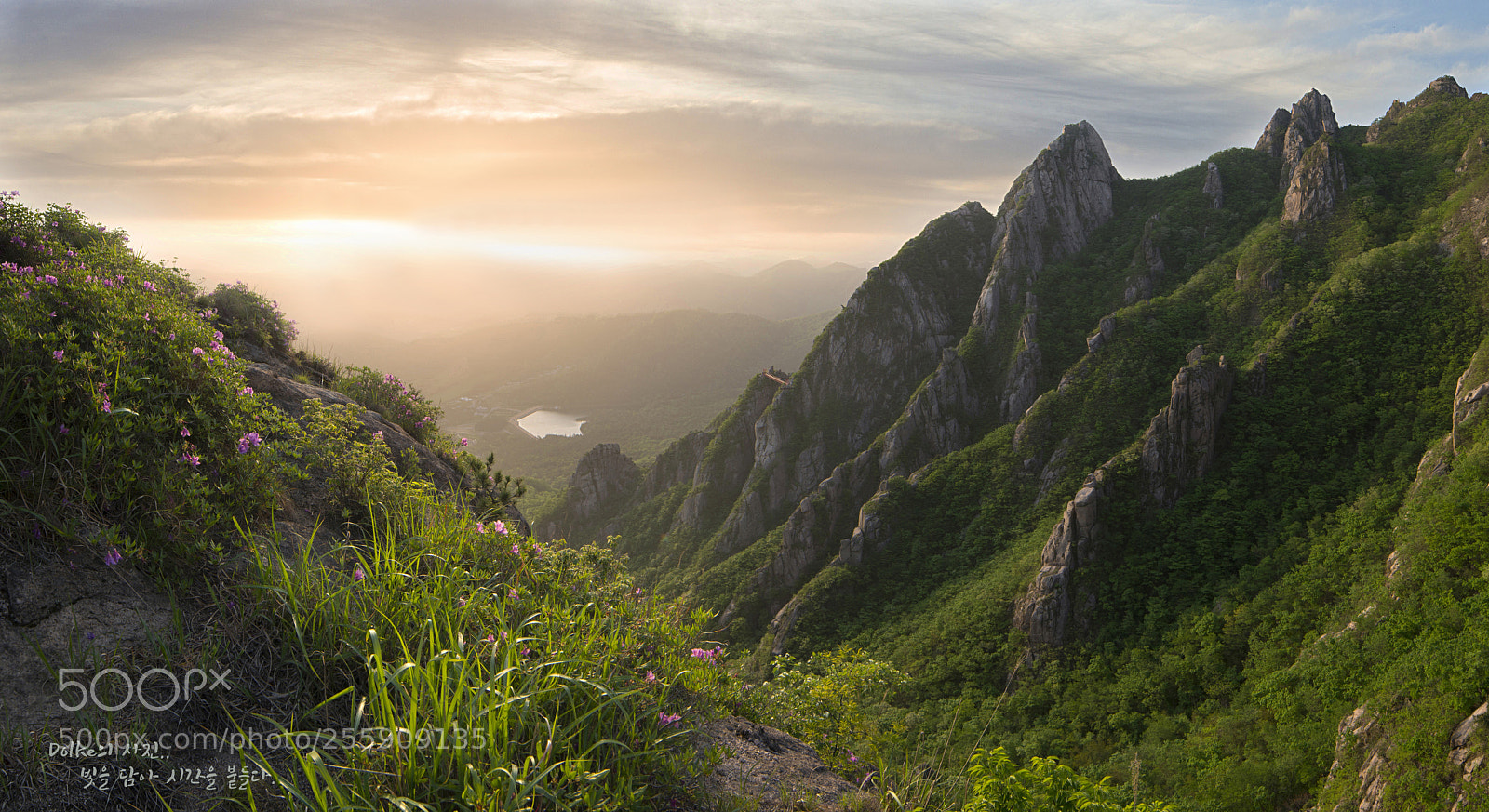 Nikon D800 sample photo. Clouds of wolchulsan national photography