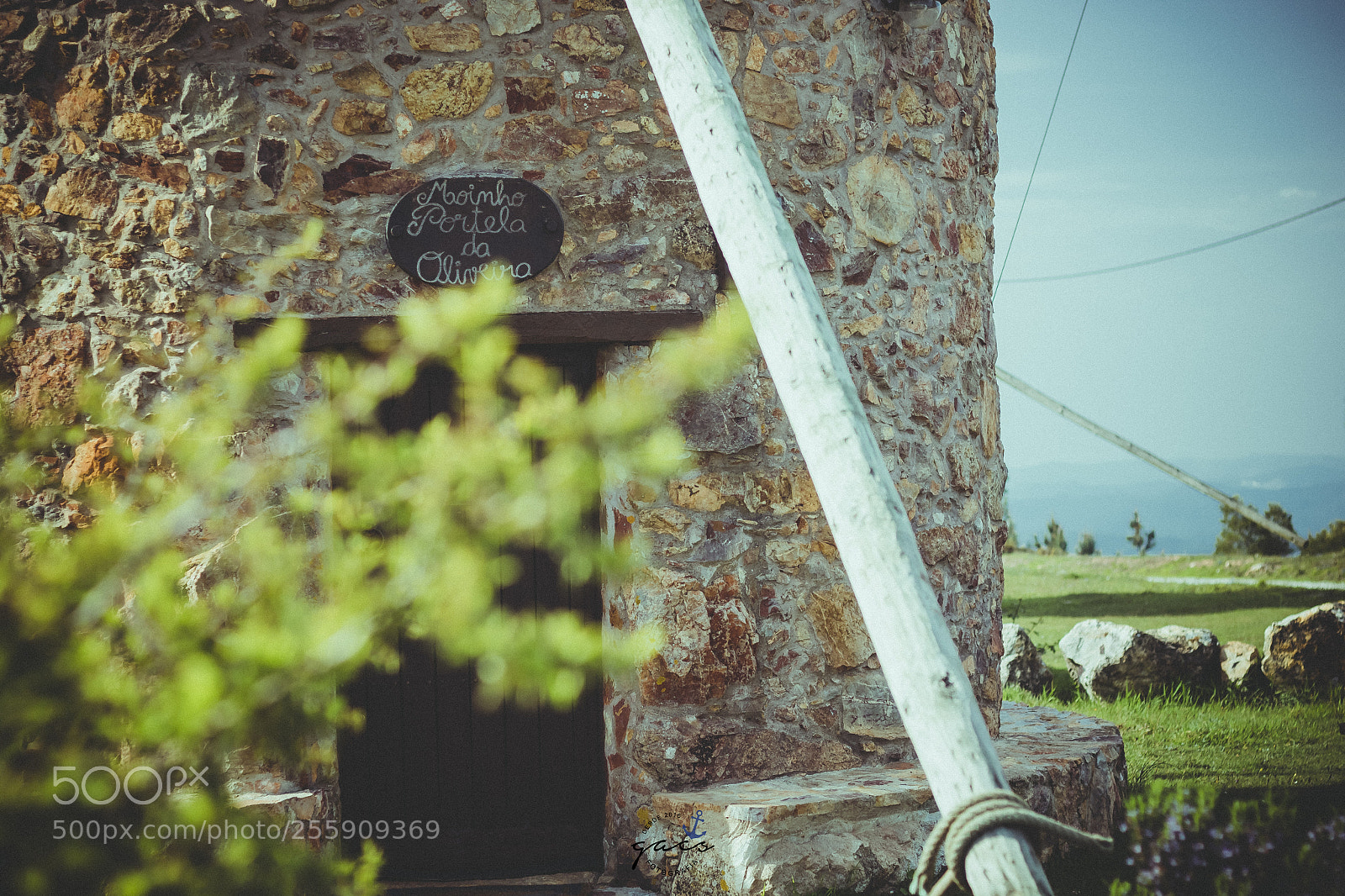 Canon EOS 7D Mark II sample photo. Untitled photography