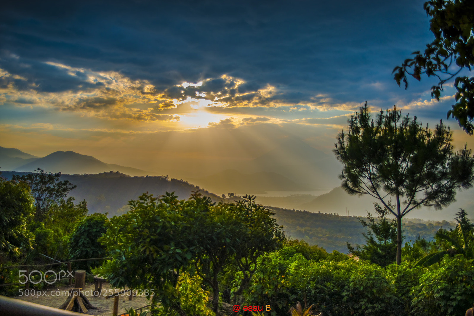 Nikon D800 sample photo. Ocaso en green rush photography
