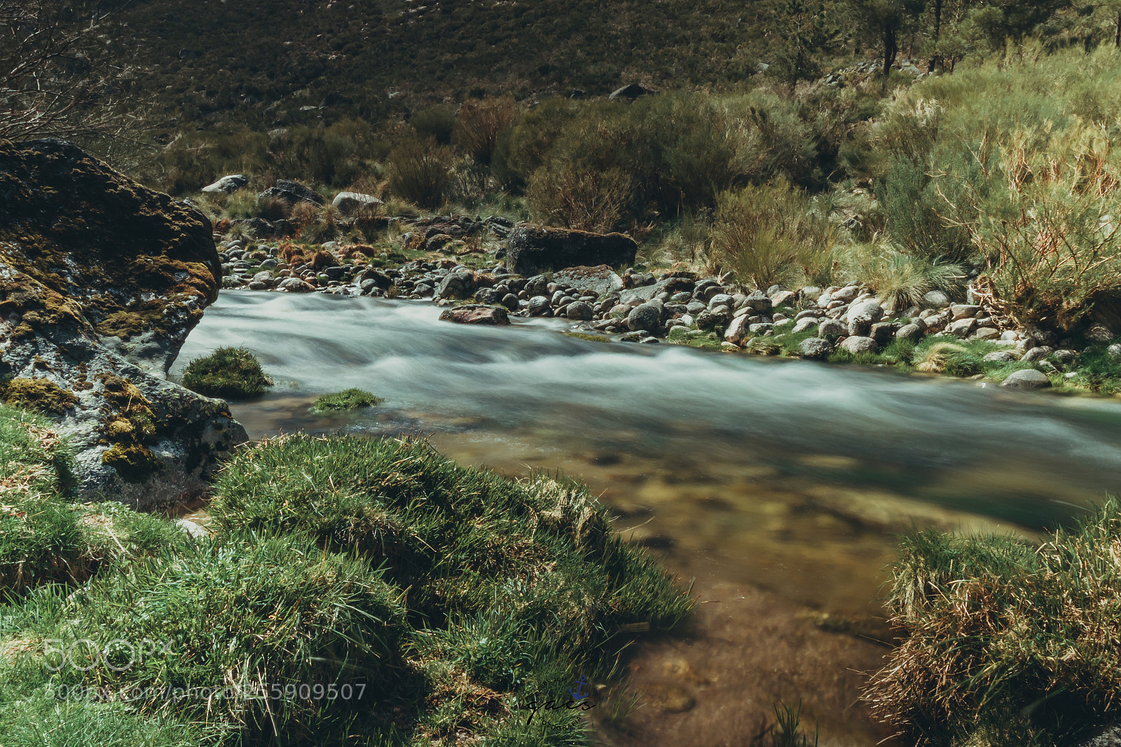 Canon EOS 7D Mark II sample photo. Untitled photography