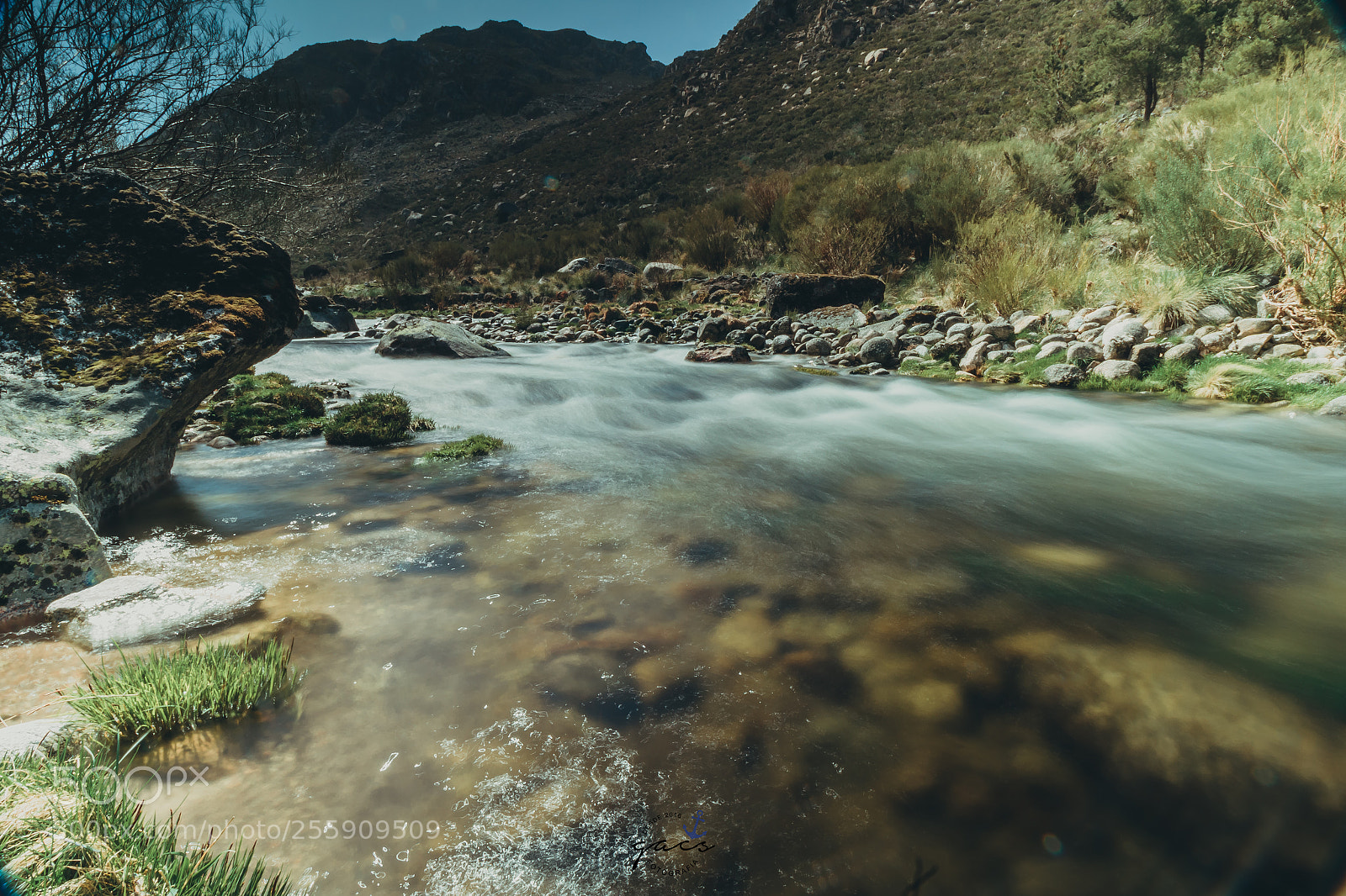 Canon EOS 7D Mark II sample photo. Untitled photography
