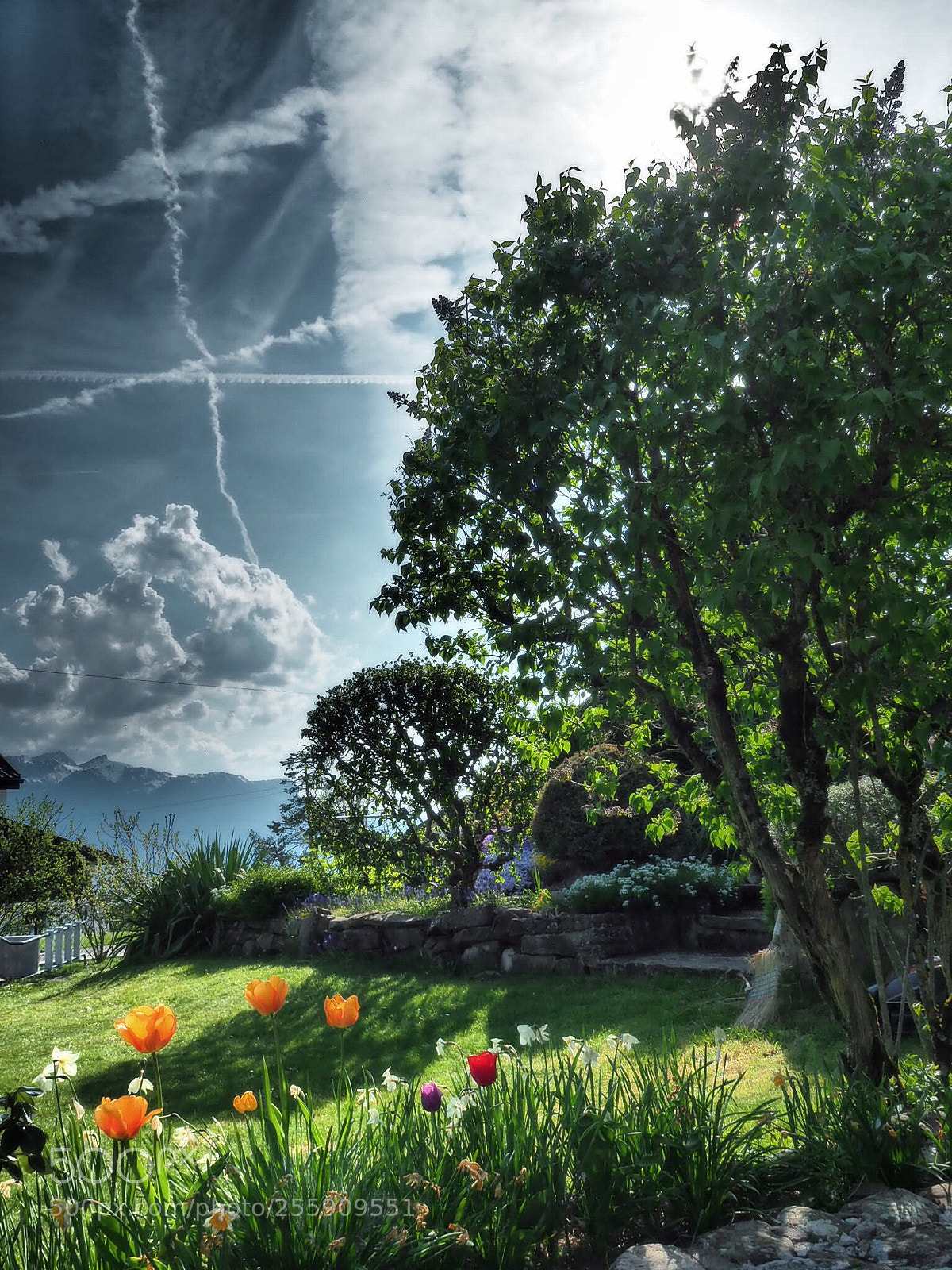 Olympus OM-D E-M5 II sample photo. Before the storm photography