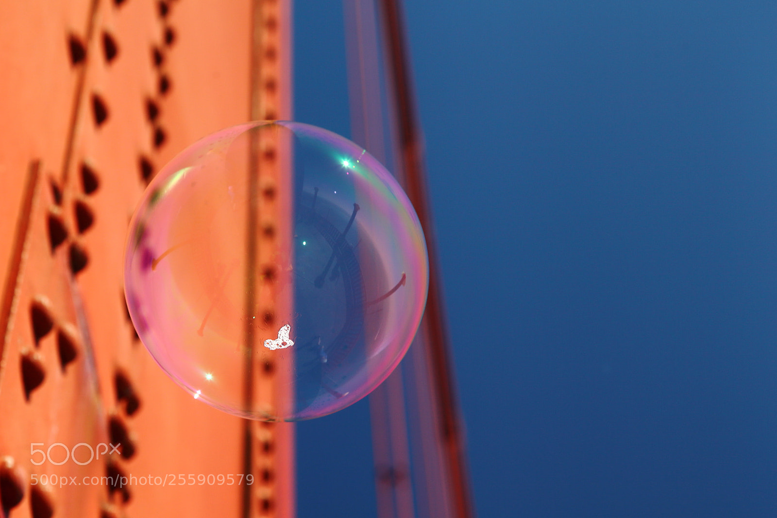 Canon EF 24-105mm F4L IS USM sample photo. Golden gate bubble photography