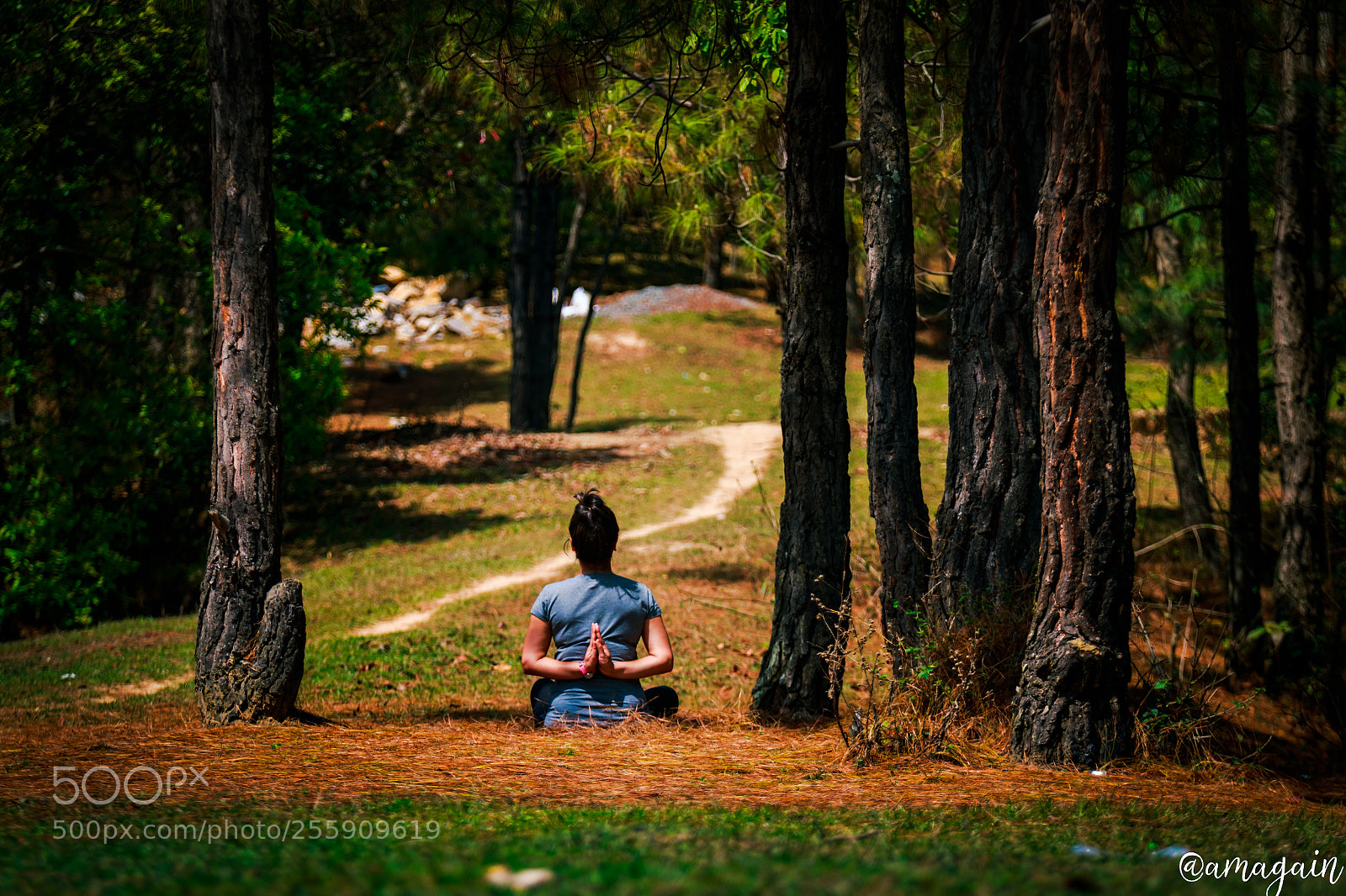 Canon EOS 70D sample photo. Namaste photography