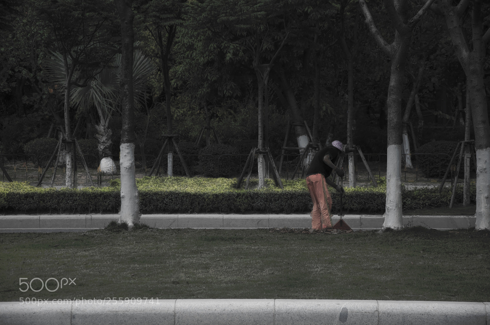 Nikon D90 sample photo. 劳动节 劳动最光荣 photography