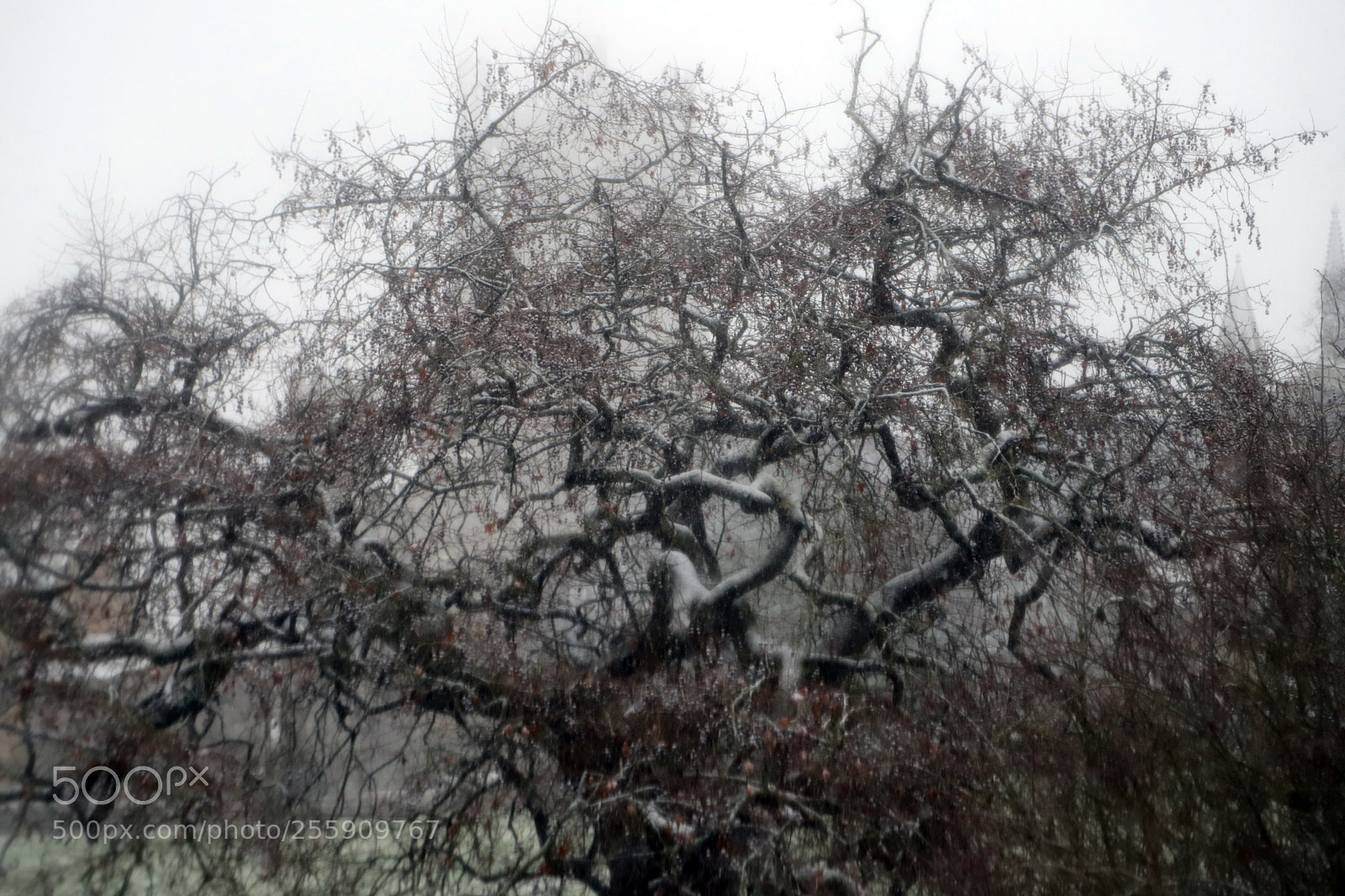 Canon EOS 6D Mark II sample photo. Ely, winter 2018 photography