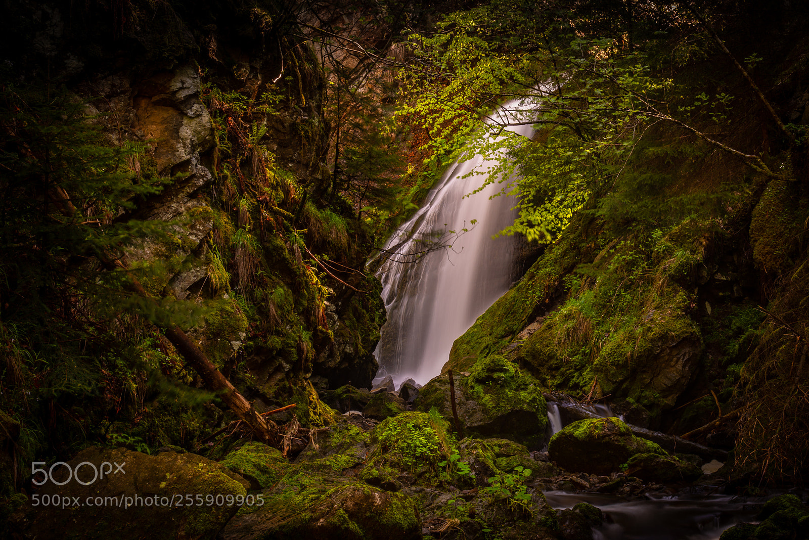 Nikon D810 sample photo. Ravennaschlucht iii photography