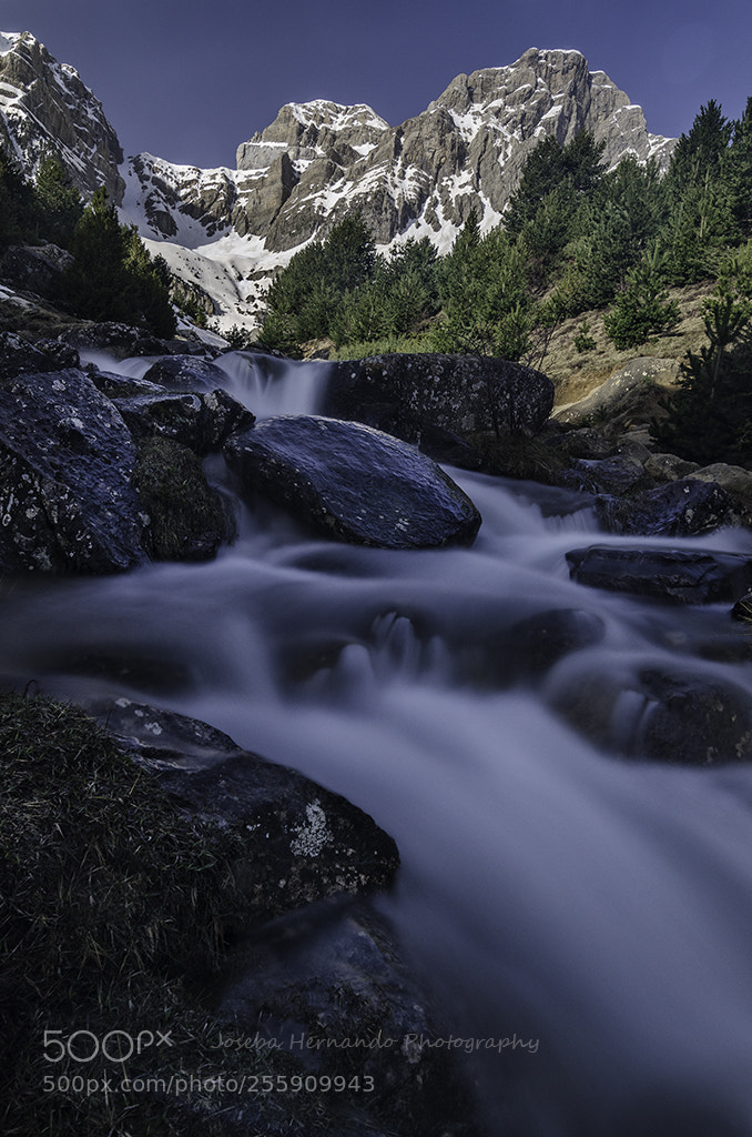Nikon D7000 sample photo. Water fluid photography