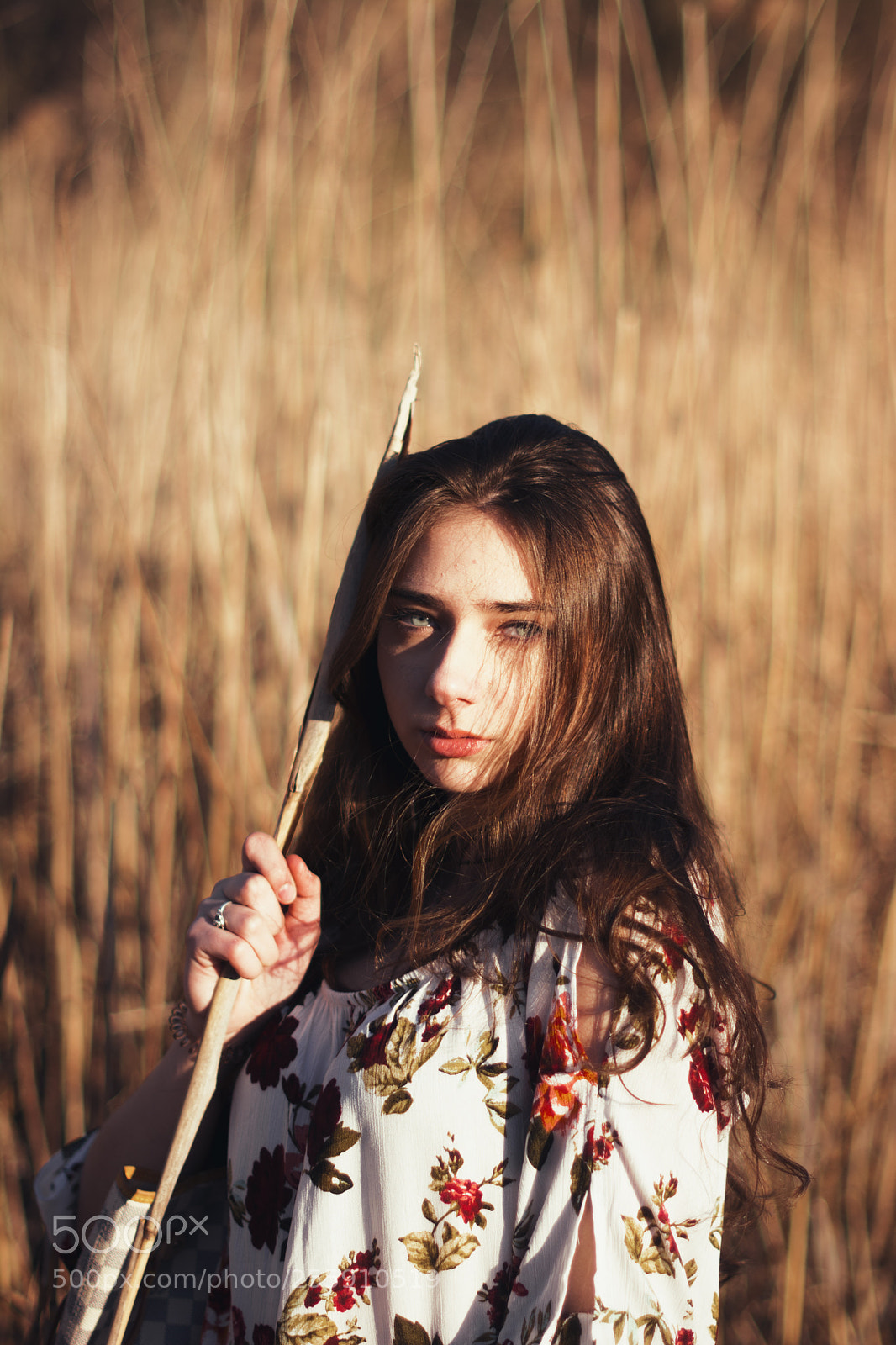 Nikon D7100 sample photo. Tall grass photography