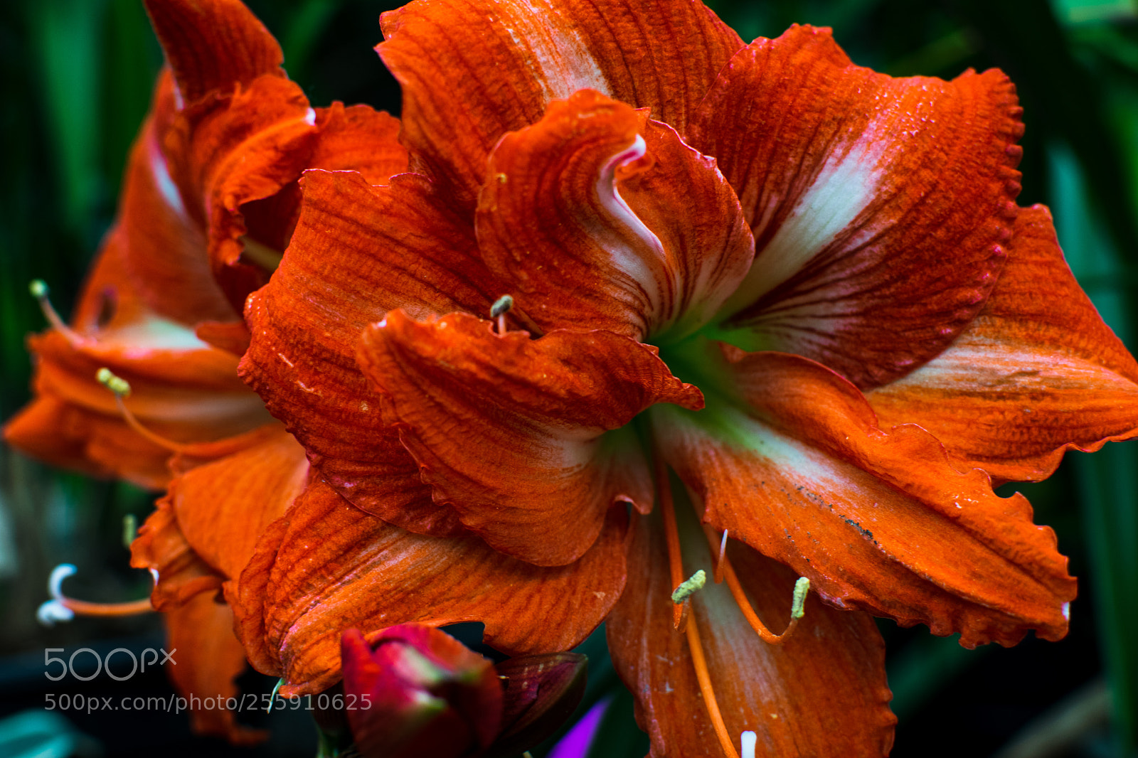 Nikon D5300 sample photo. Travelling photography