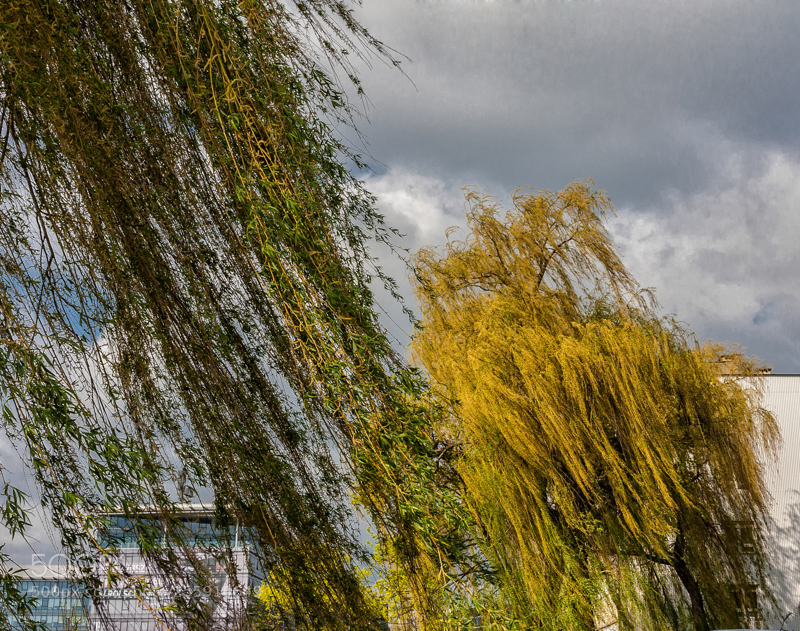 Canon EOS 40D sample photo. The spring city photography
