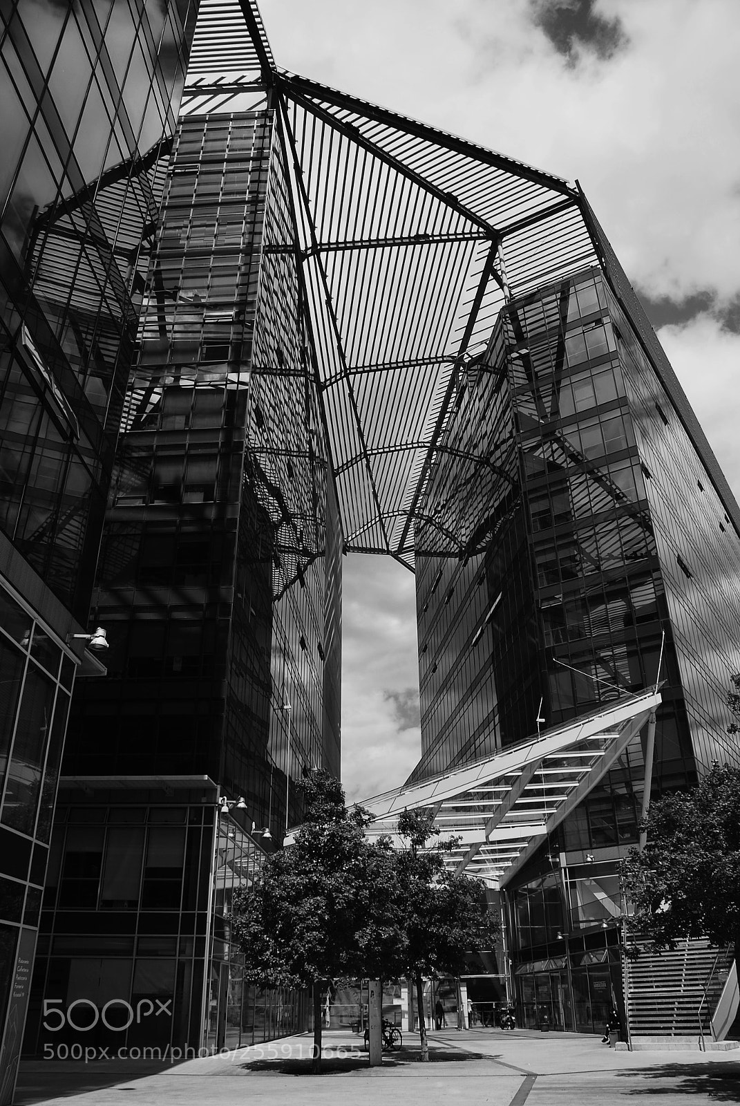 Nikon D60 sample photo. Between steel and sky photography