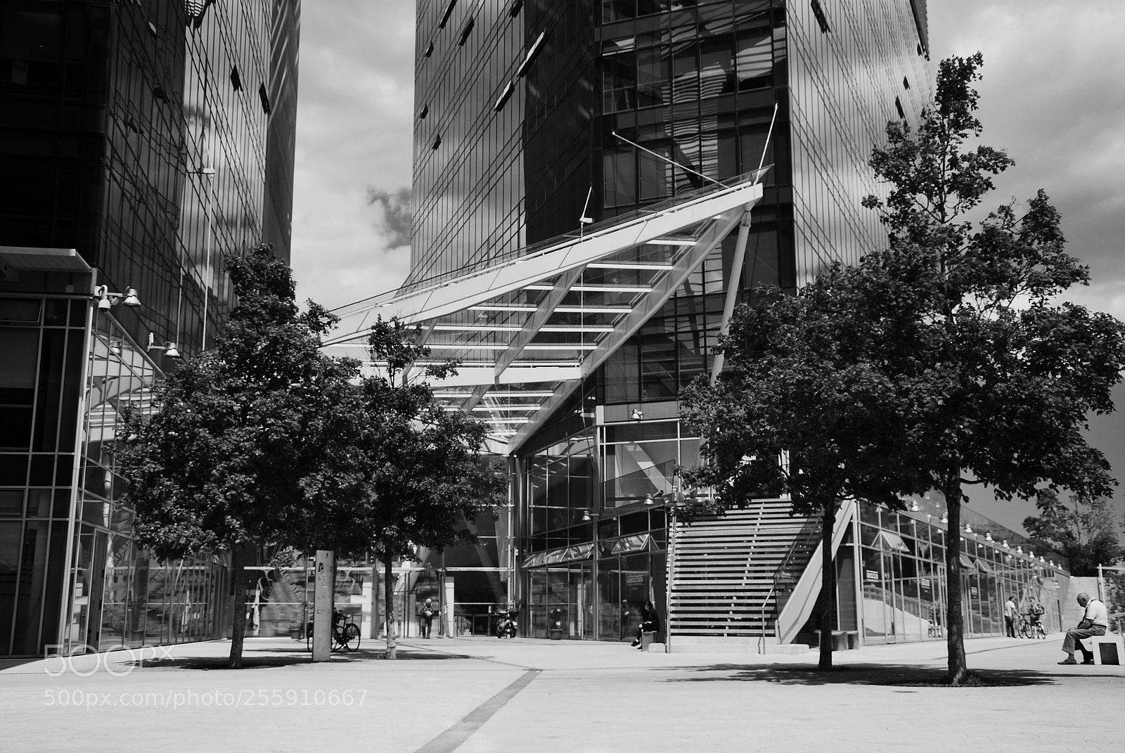 Nikon D60 sample photo. Lazy summer afternoon photography