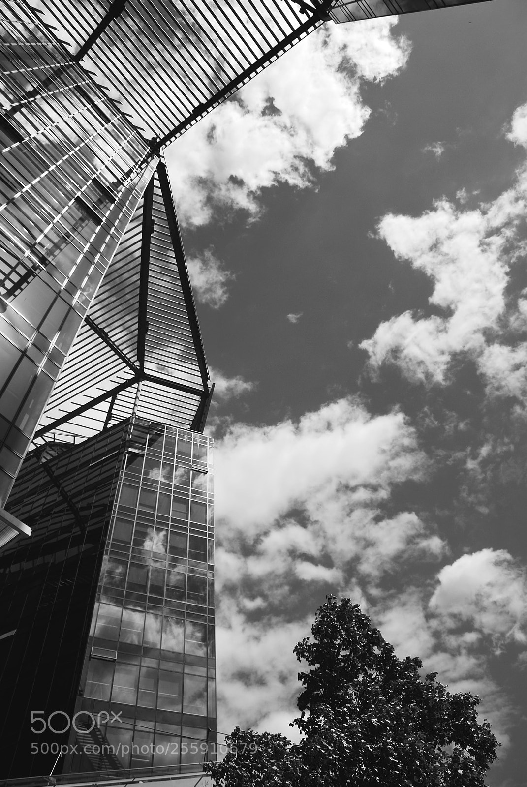 Nikon D60 sample photo. Make a wish photography