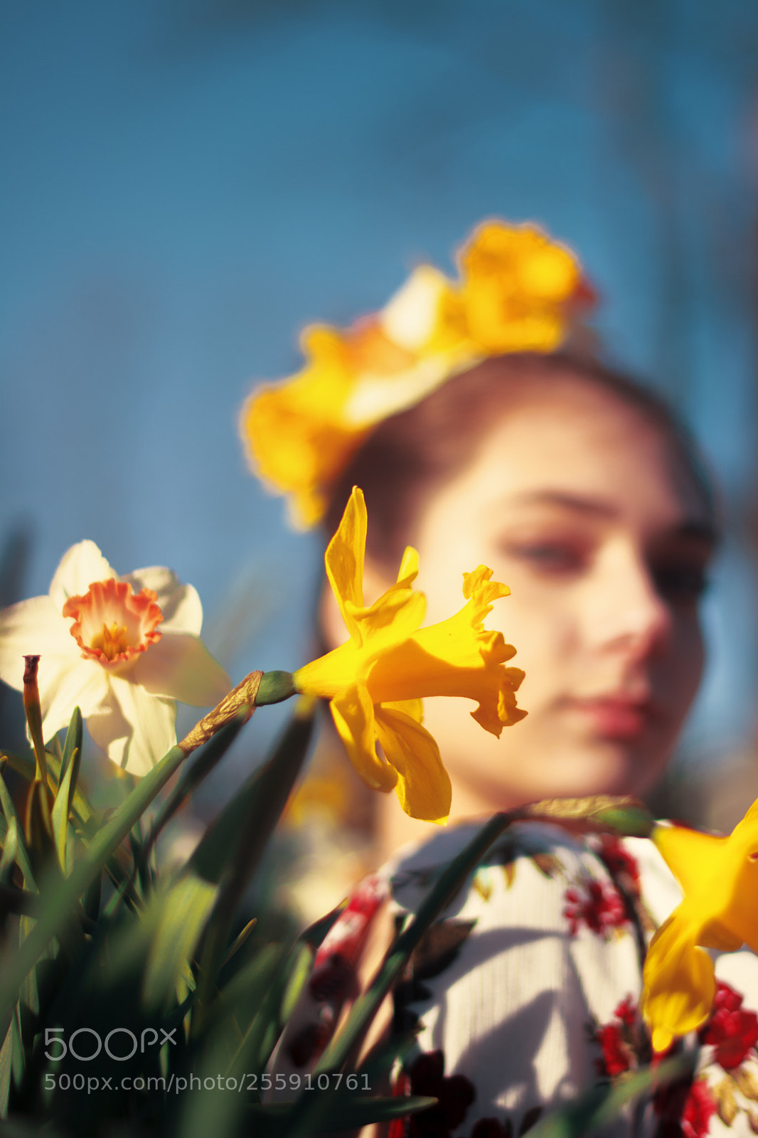 Nikon D7100 sample photo. Le fleur pt 3 photography